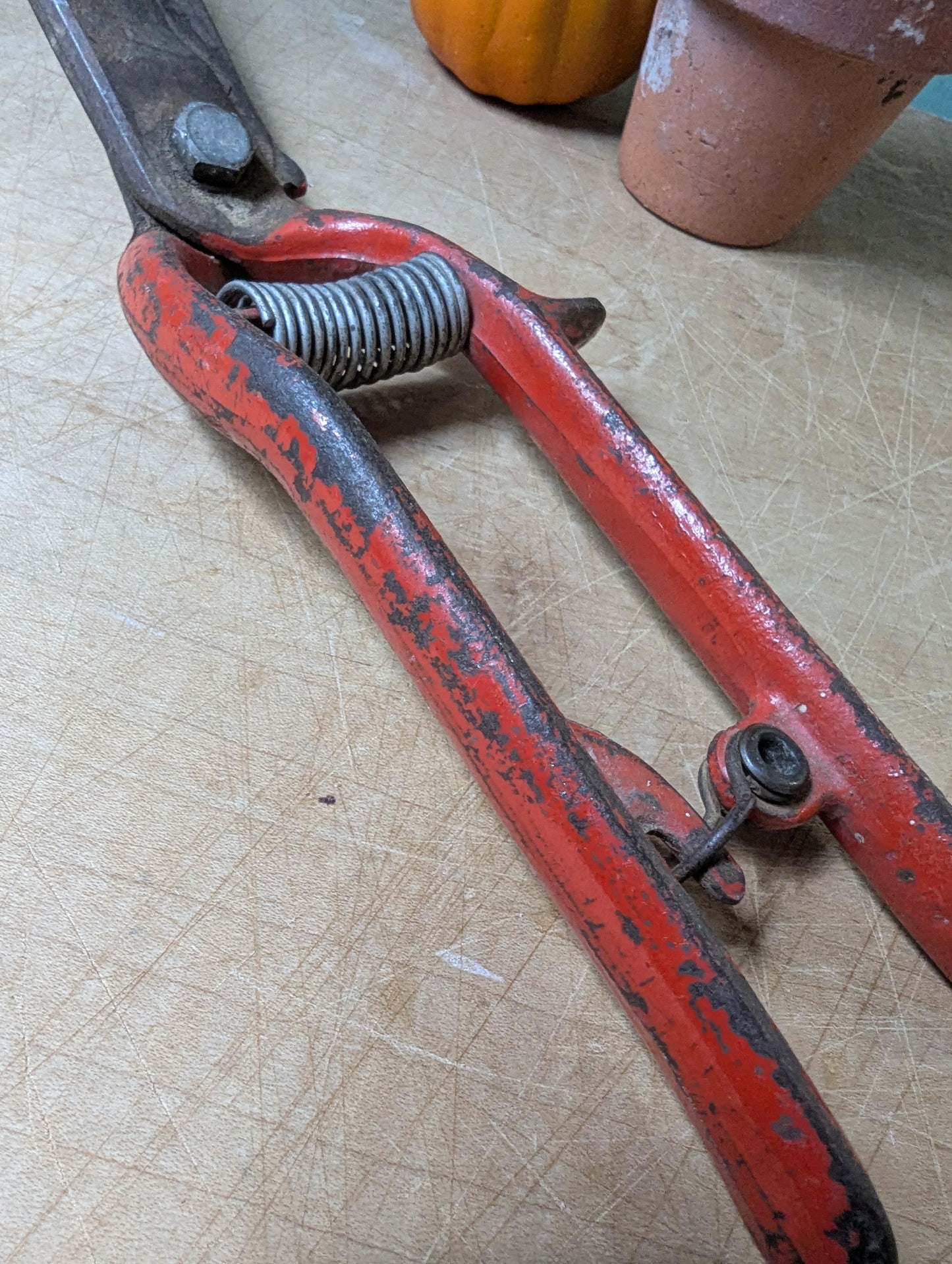 Garden shears in red
