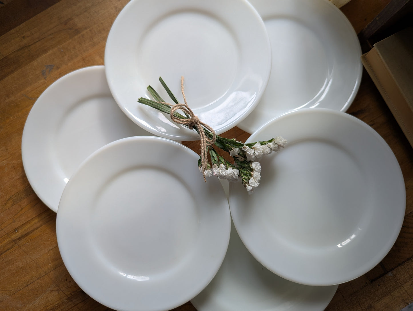 Set of 5 pyrex plates