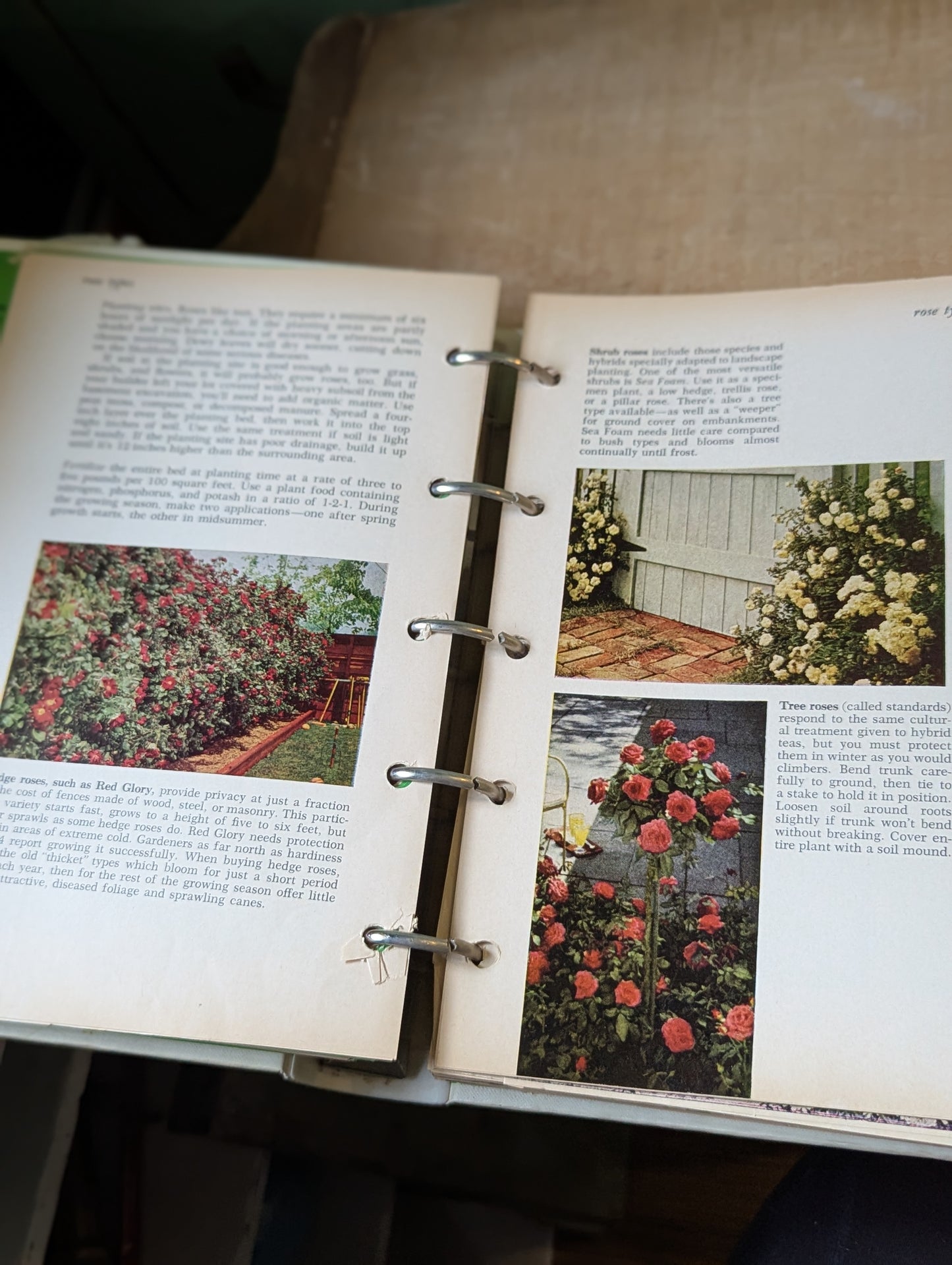 Better Homes and Gardens New Garden Book