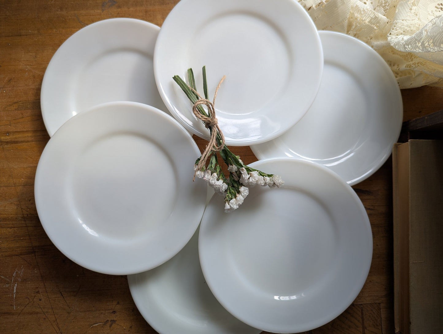 Set of 5 pyrex plates