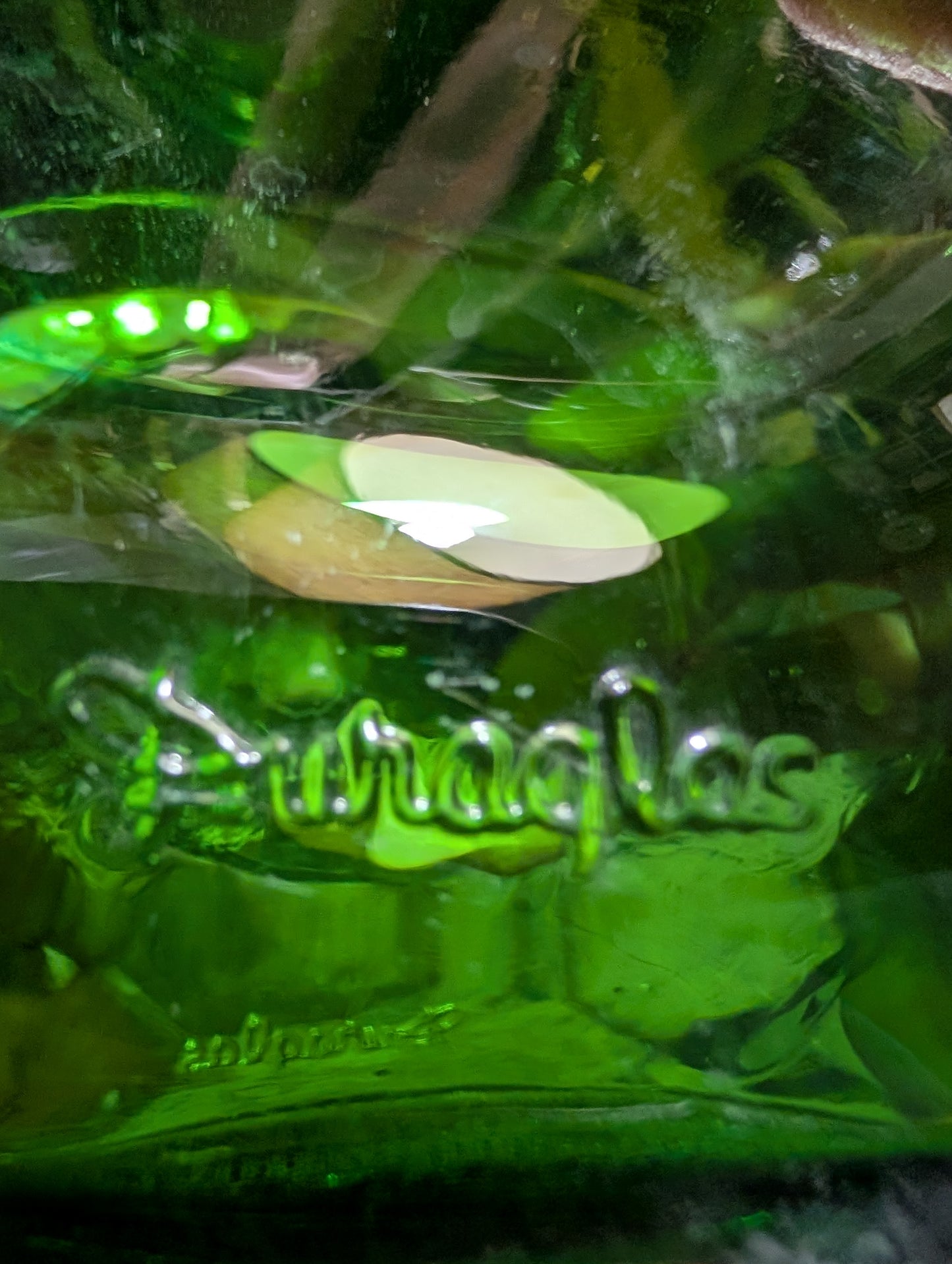 Green glass bottle