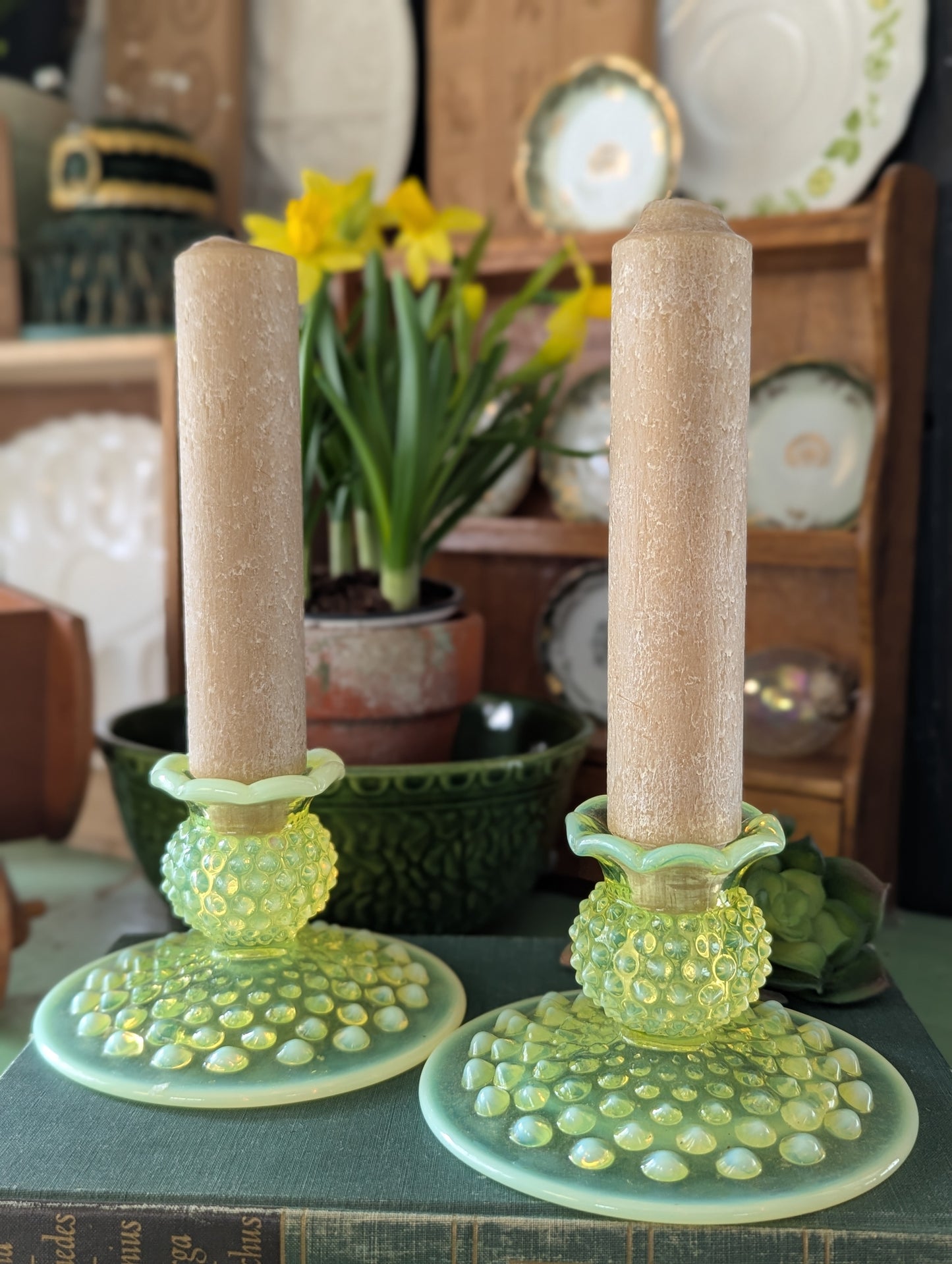 Yellow hobnail candlesticks