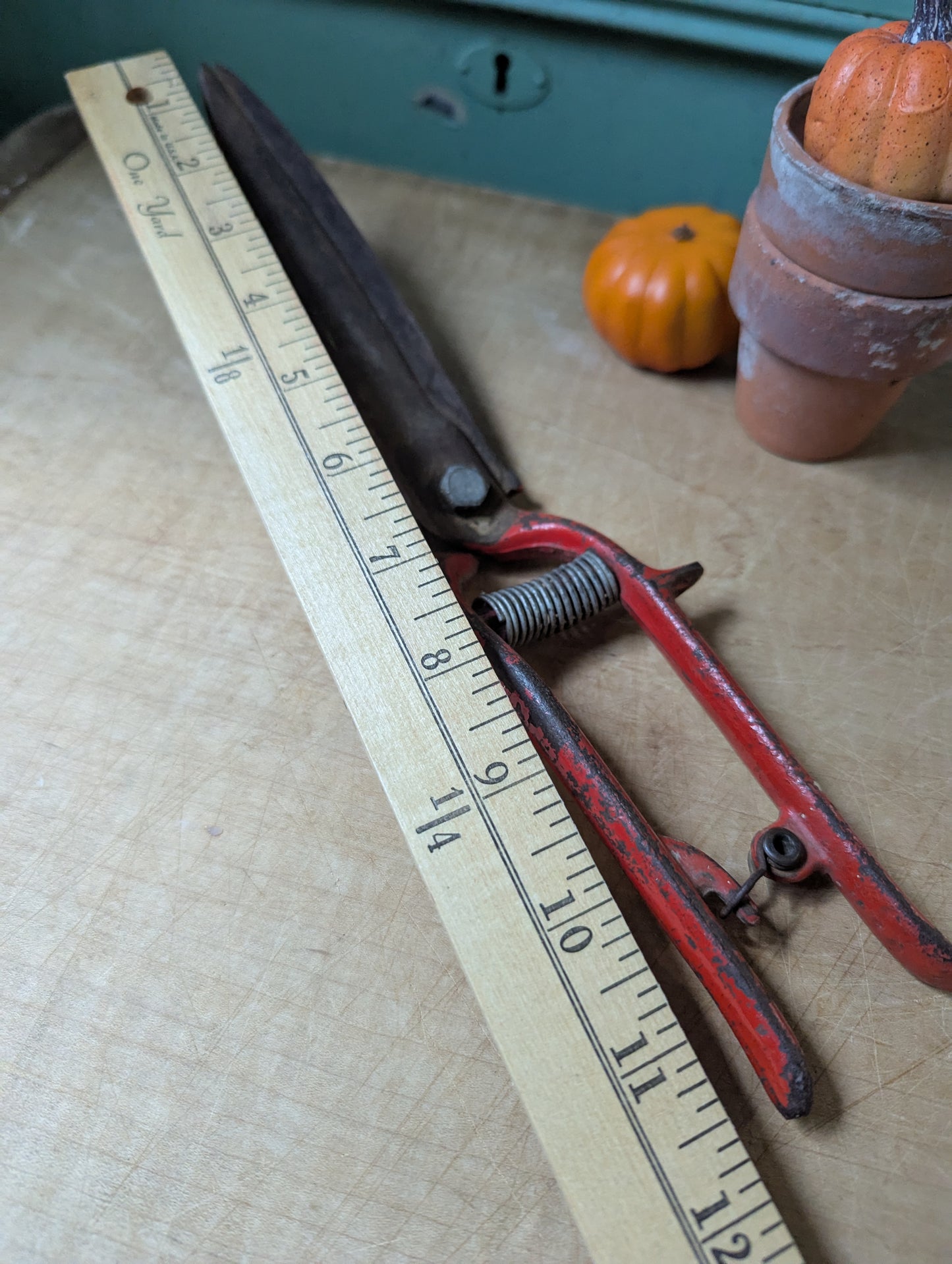 Garden shears in red