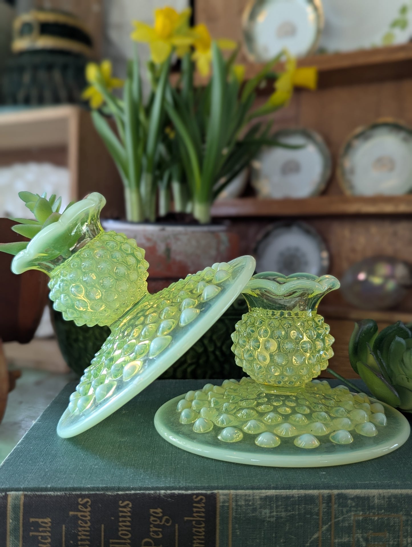 Yellow hobnail candlesticks