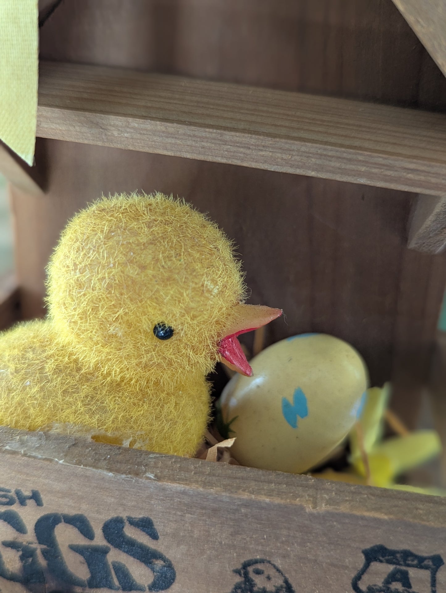 Springtime chick