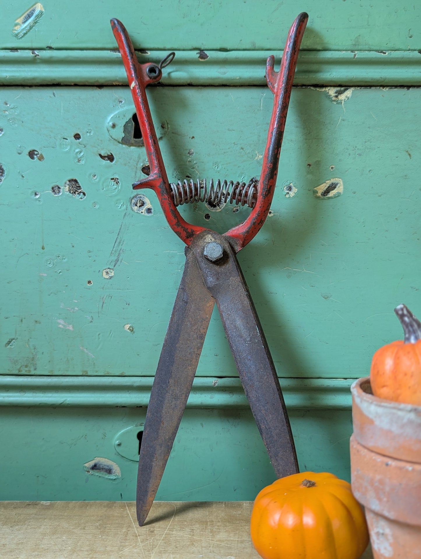 Garden shears in red