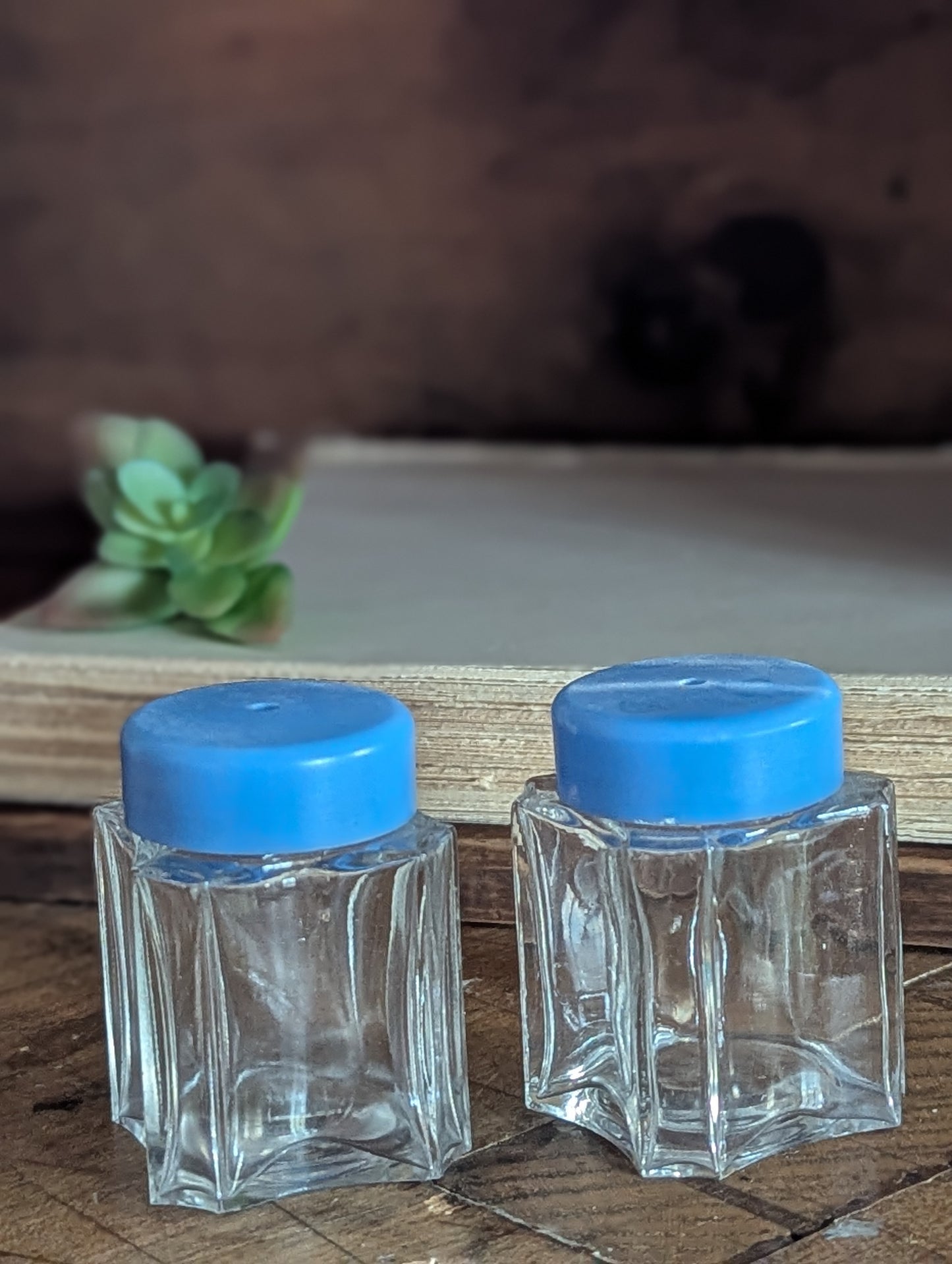 Glass and plastic periwinkle shaker set
