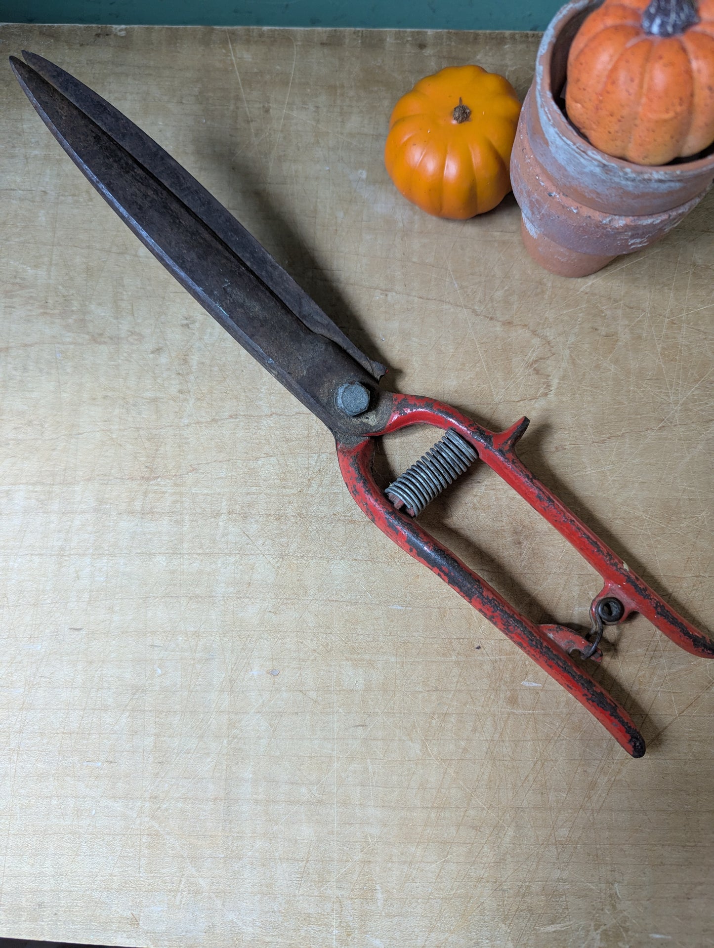 Garden shears in red