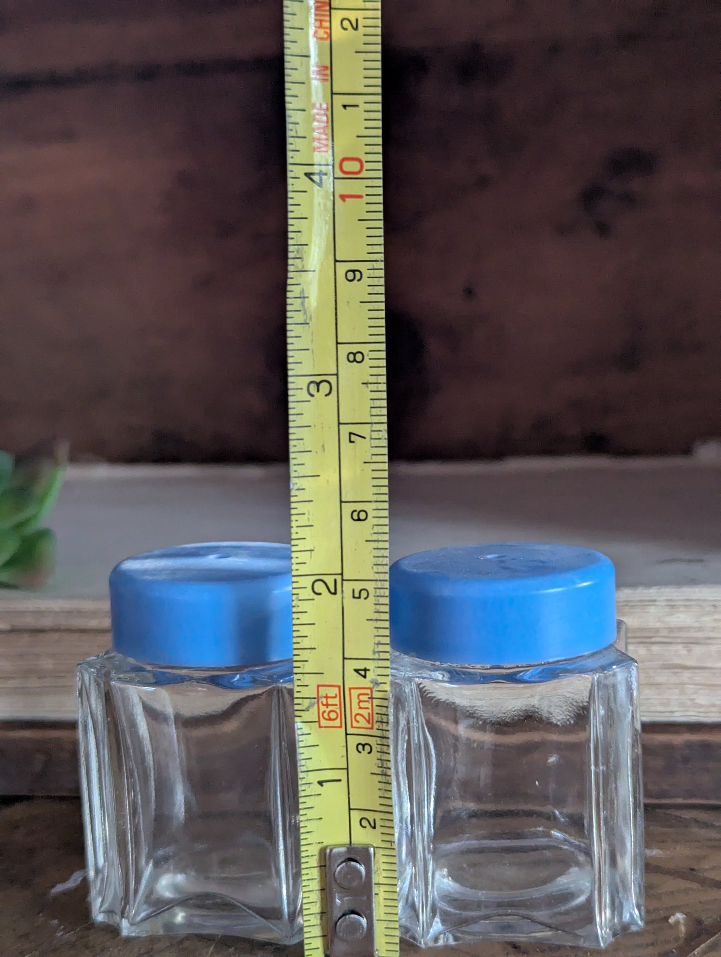 Glass and plastic periwinkle shaker set