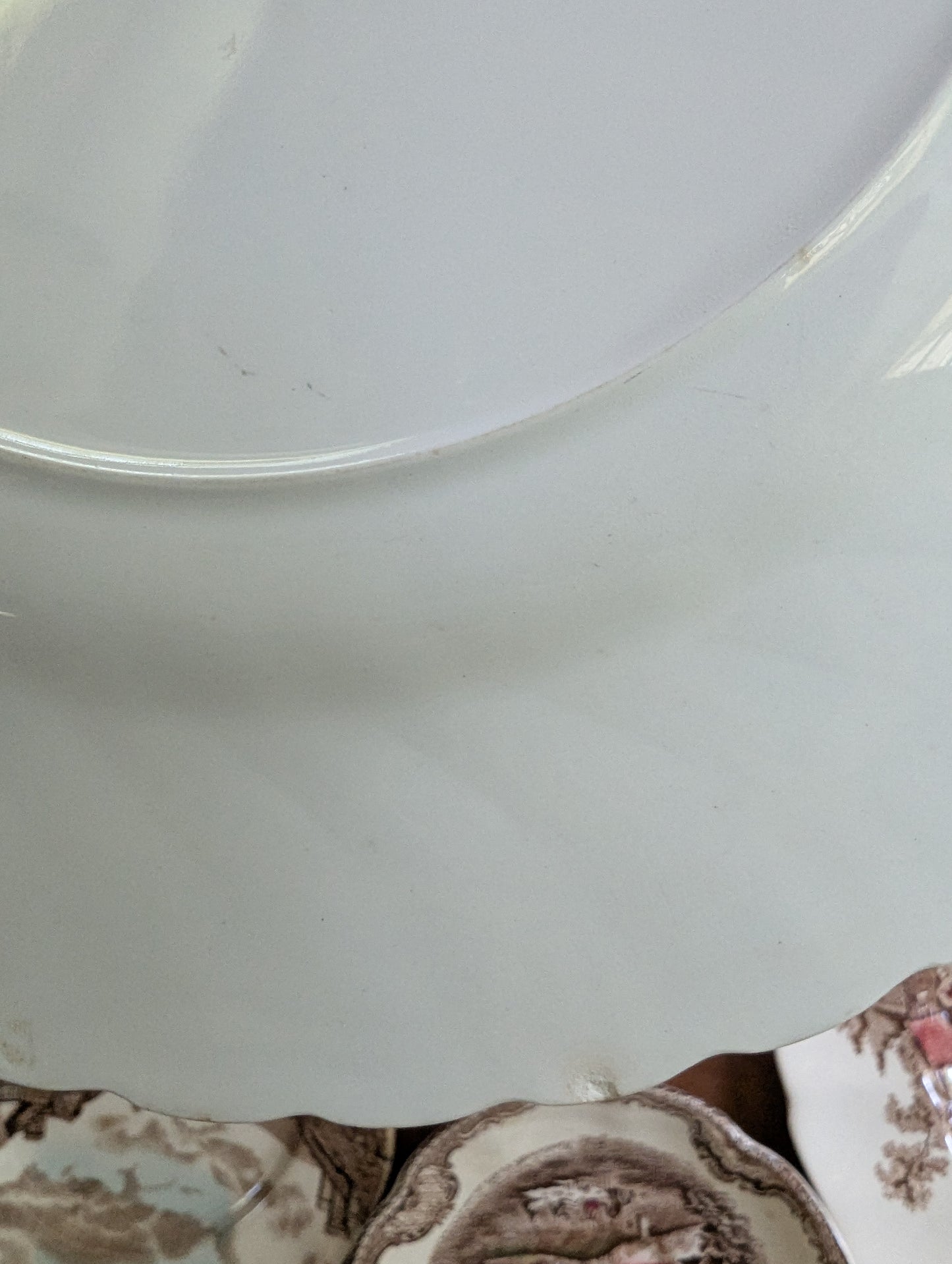 Devon's Sprays Johnson Bothers Ironstone transferware lot