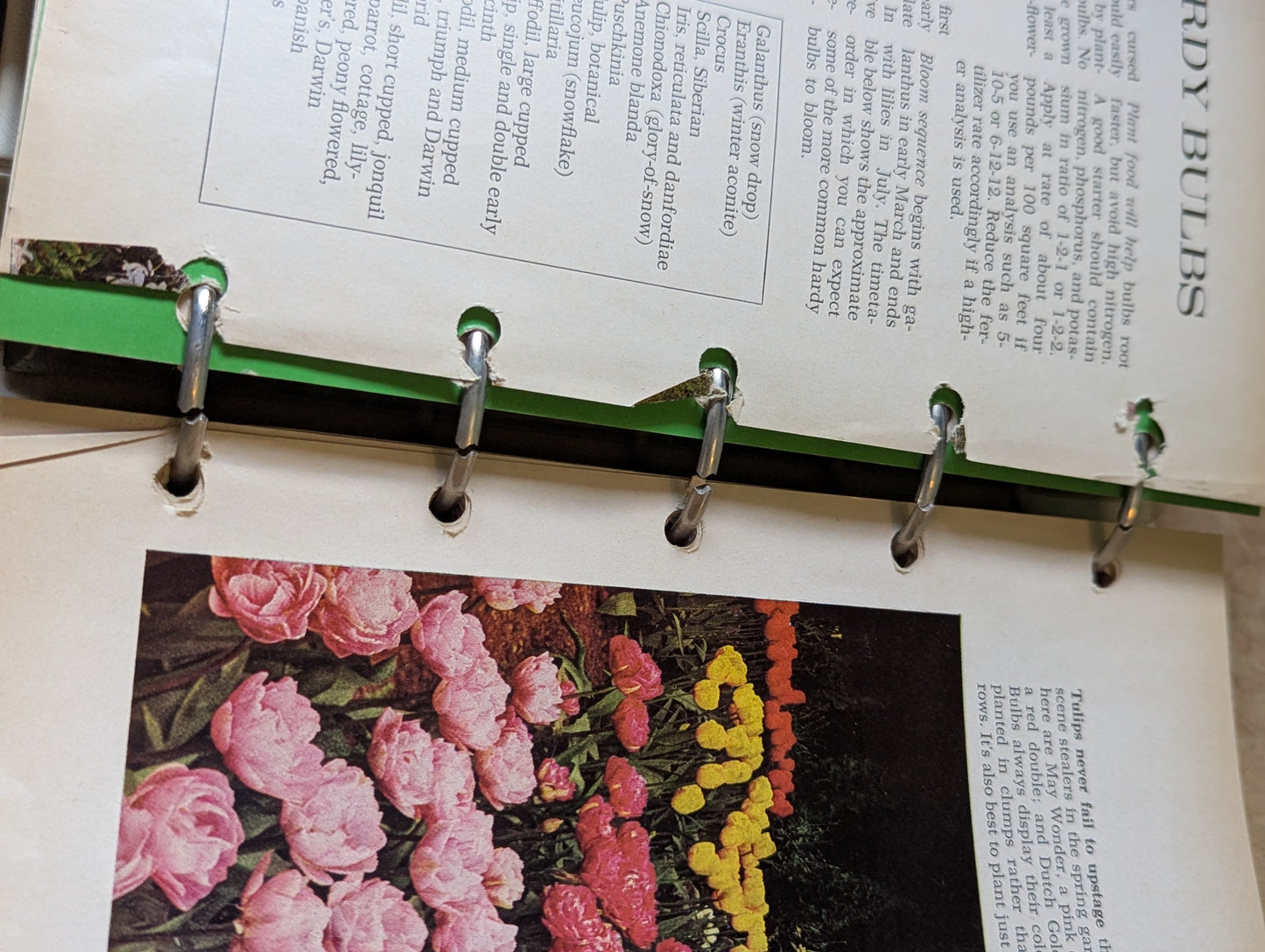 Better Homes and Gardens New Garden Book
