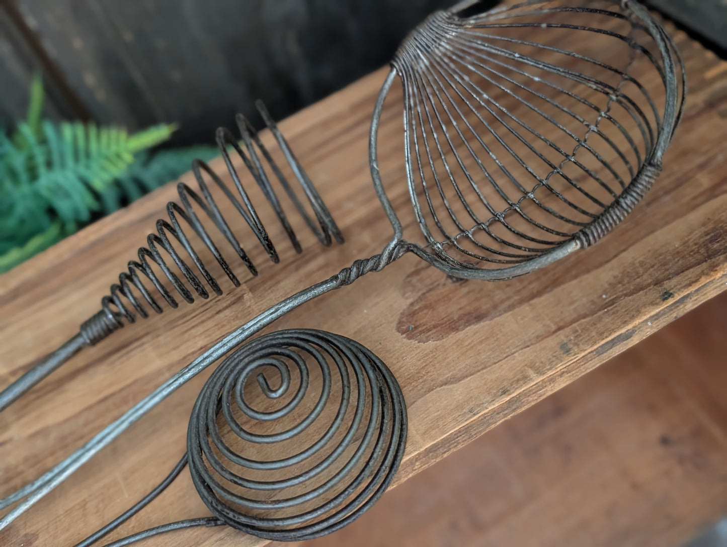 Primitive whisks