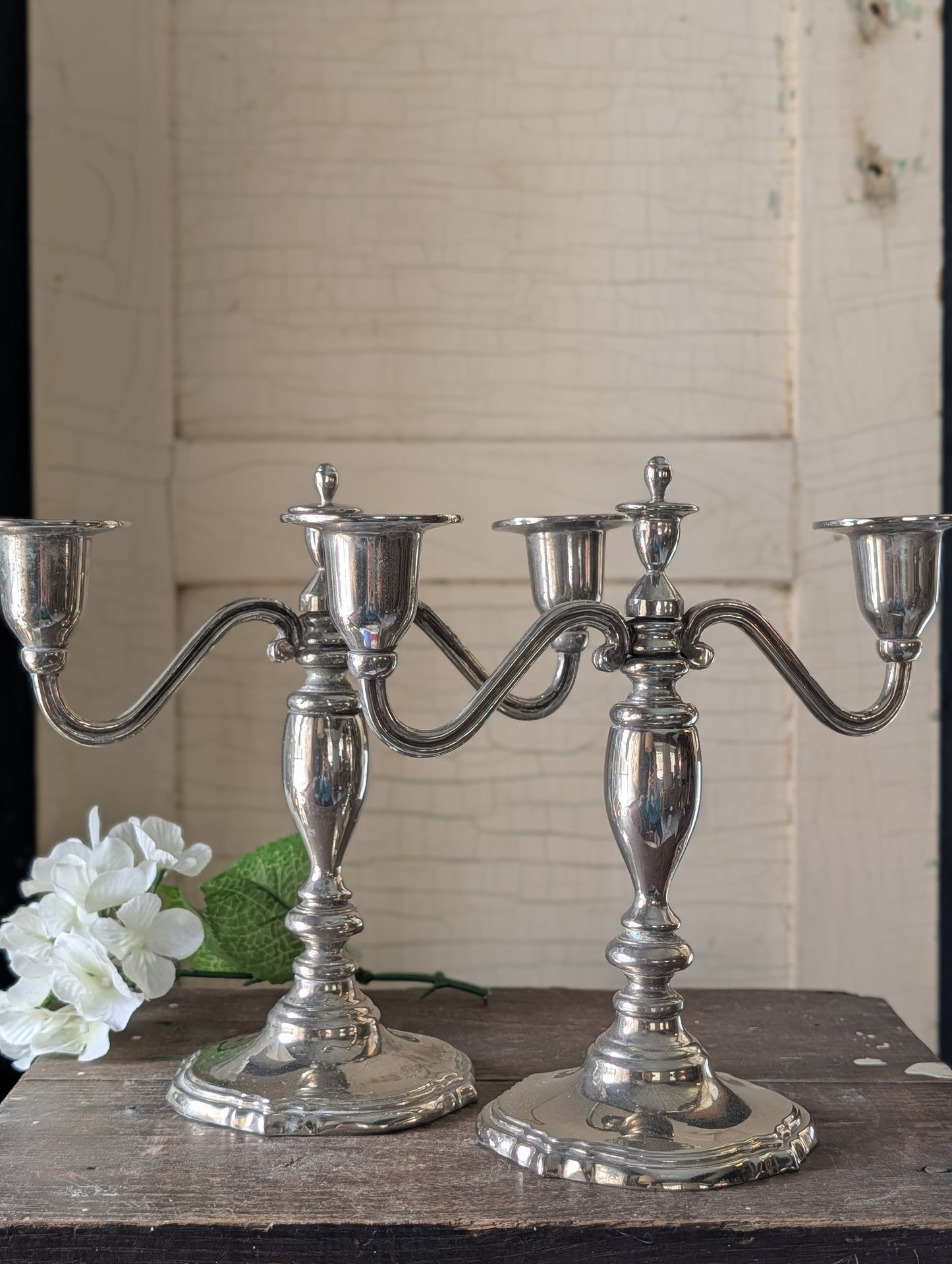 Pair of candelabras