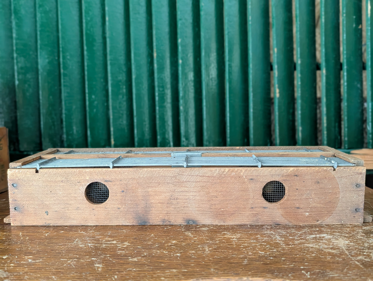 Flying insect/bee trap/cage