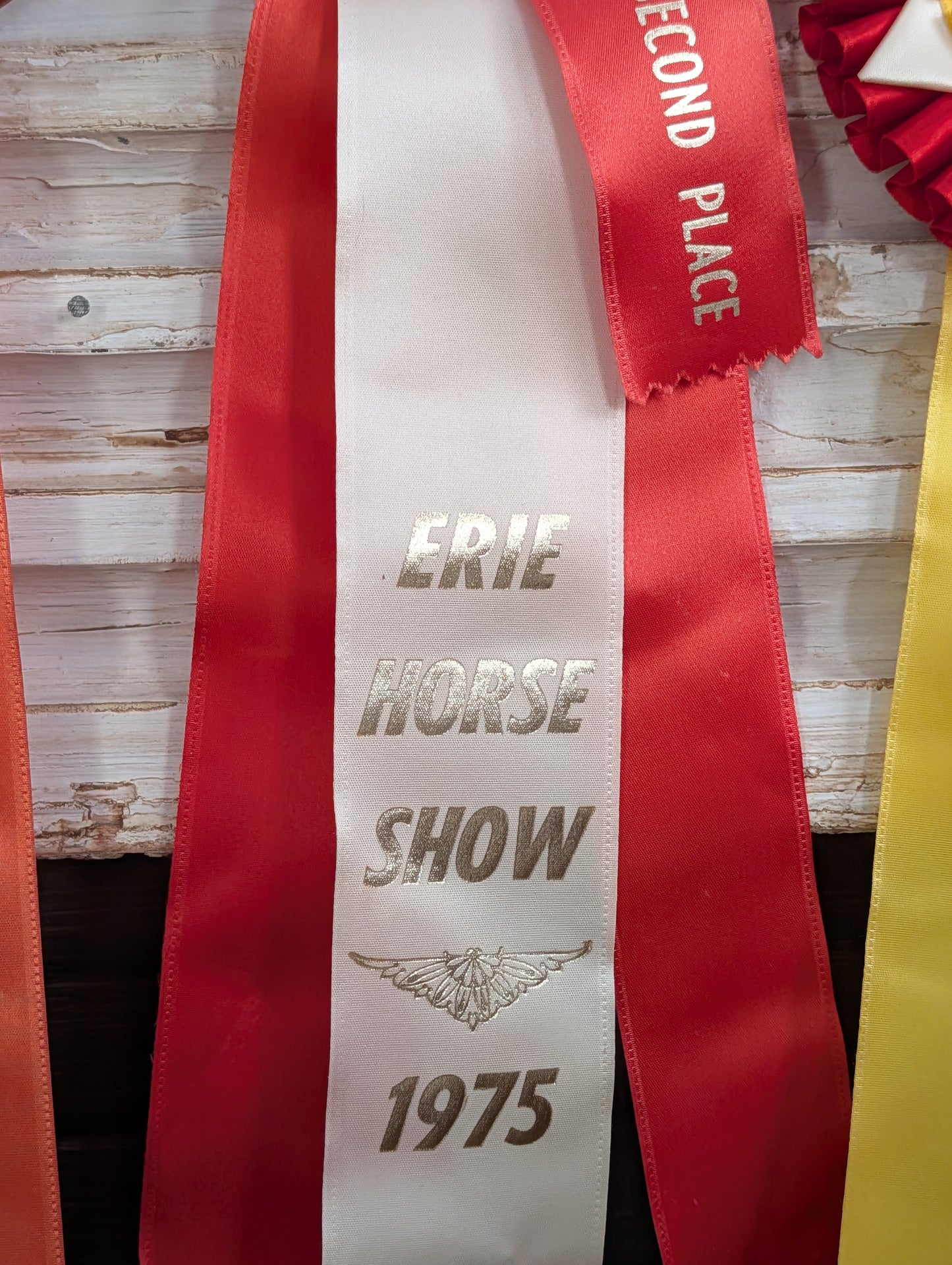 Horse show ribbons