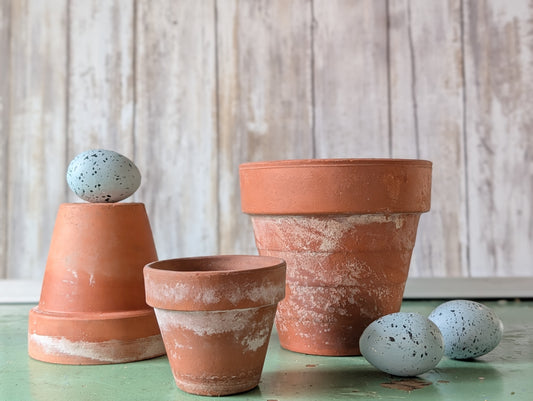 Trio of Terracotta