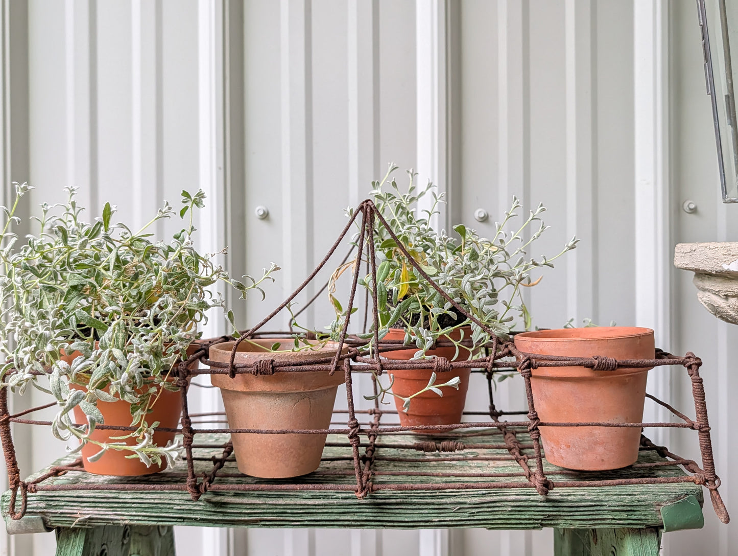 Wire pot/jar rack