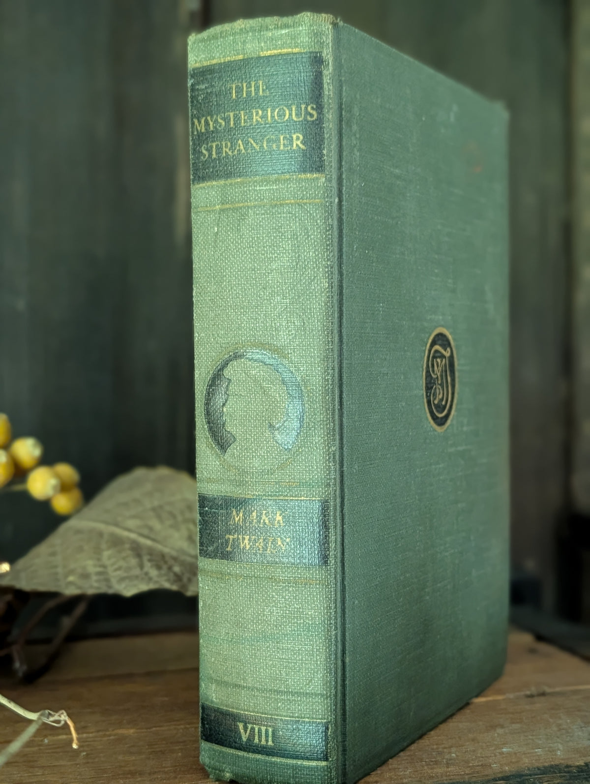 The Mysterious Stranger book