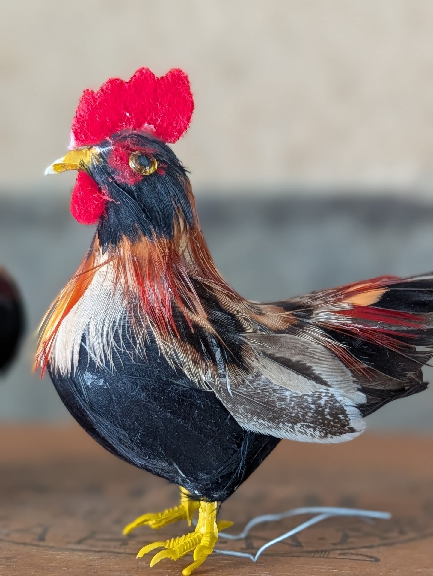 Hen and rooster pair
