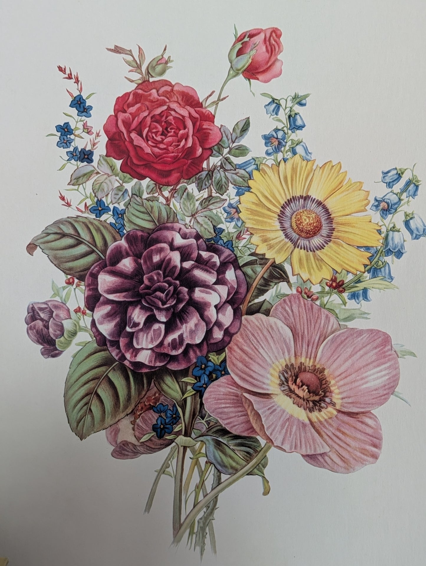 Floral print