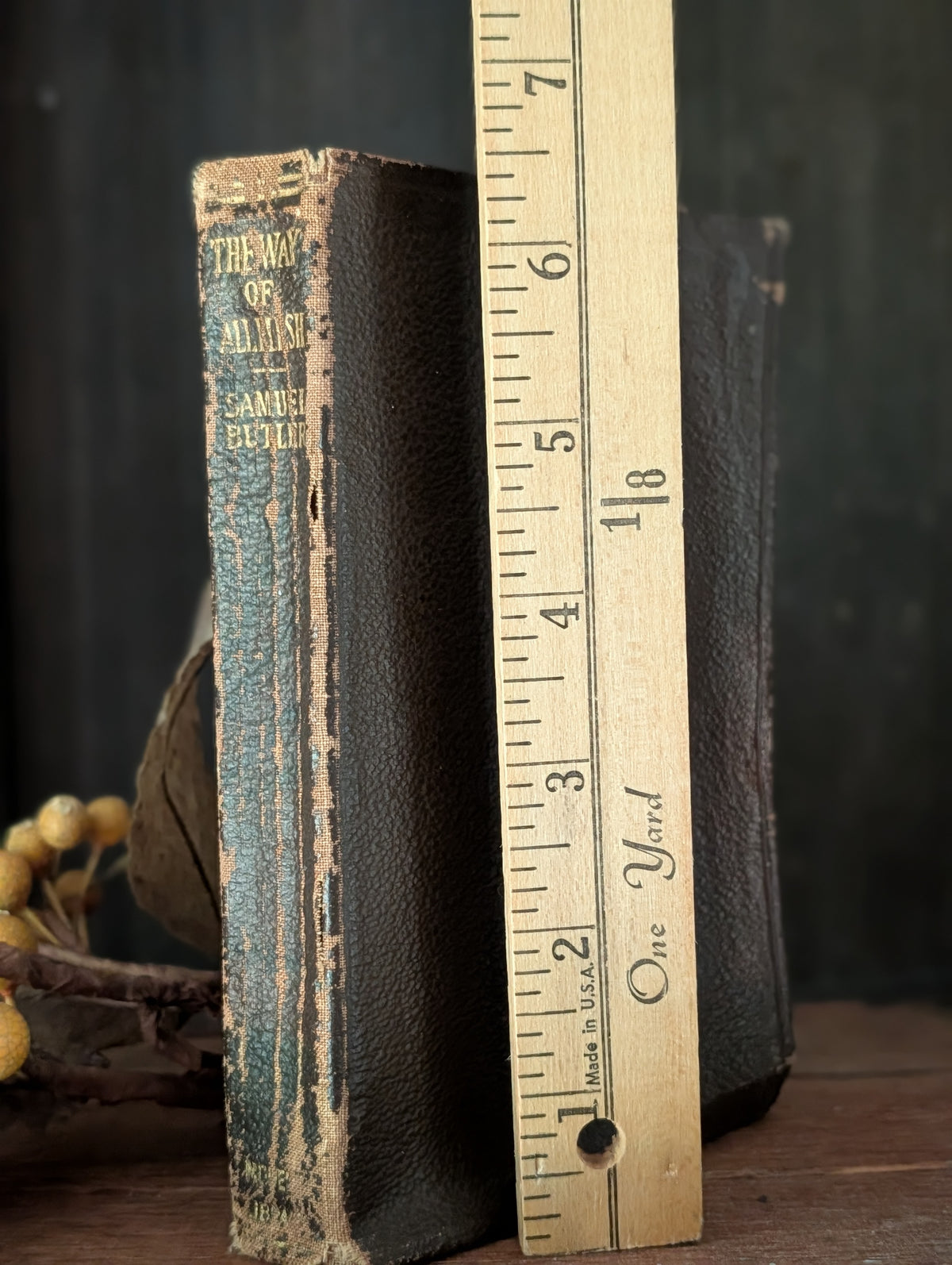 The Way of All Flesh book