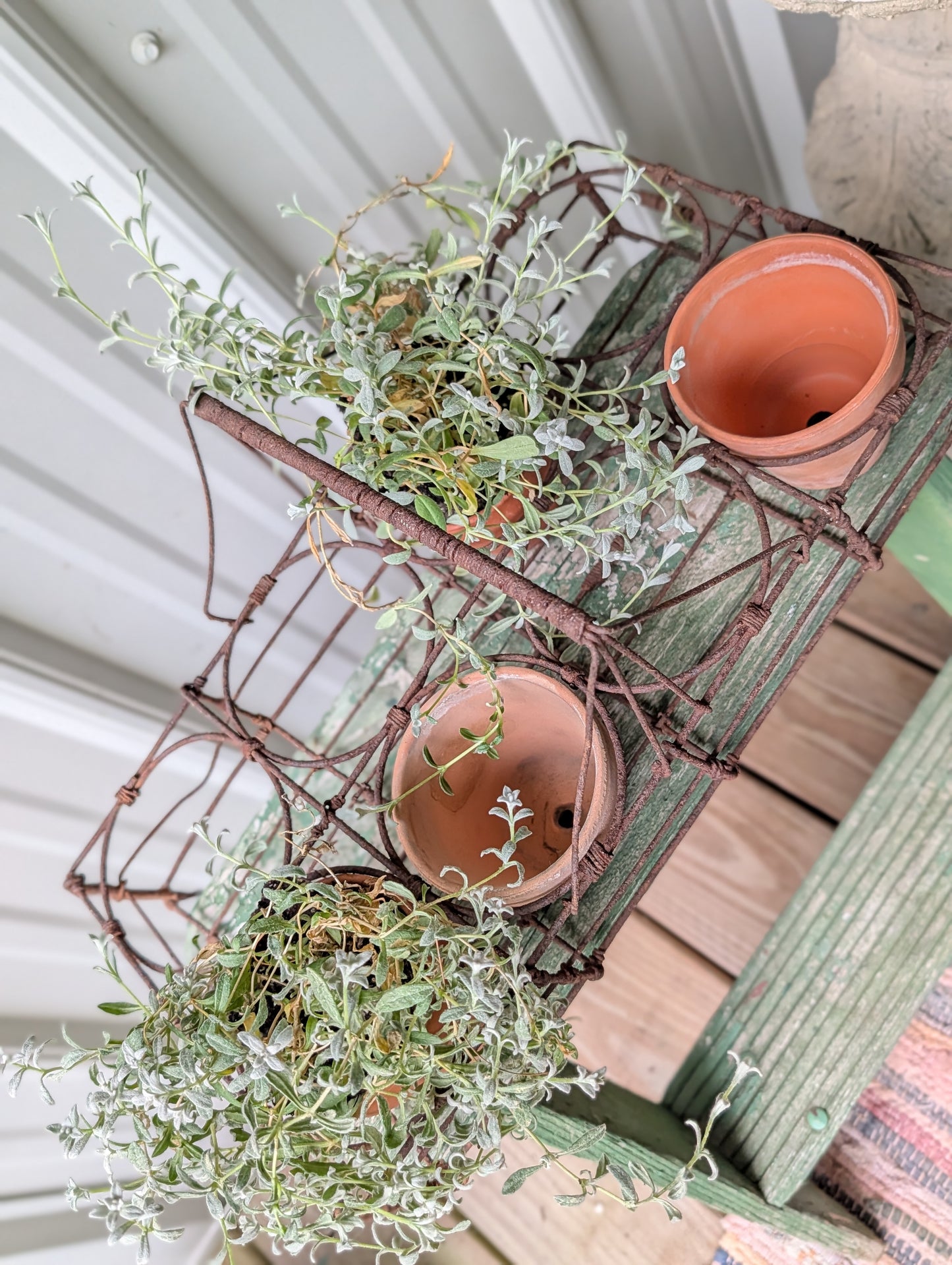 Wire pot/jar rack