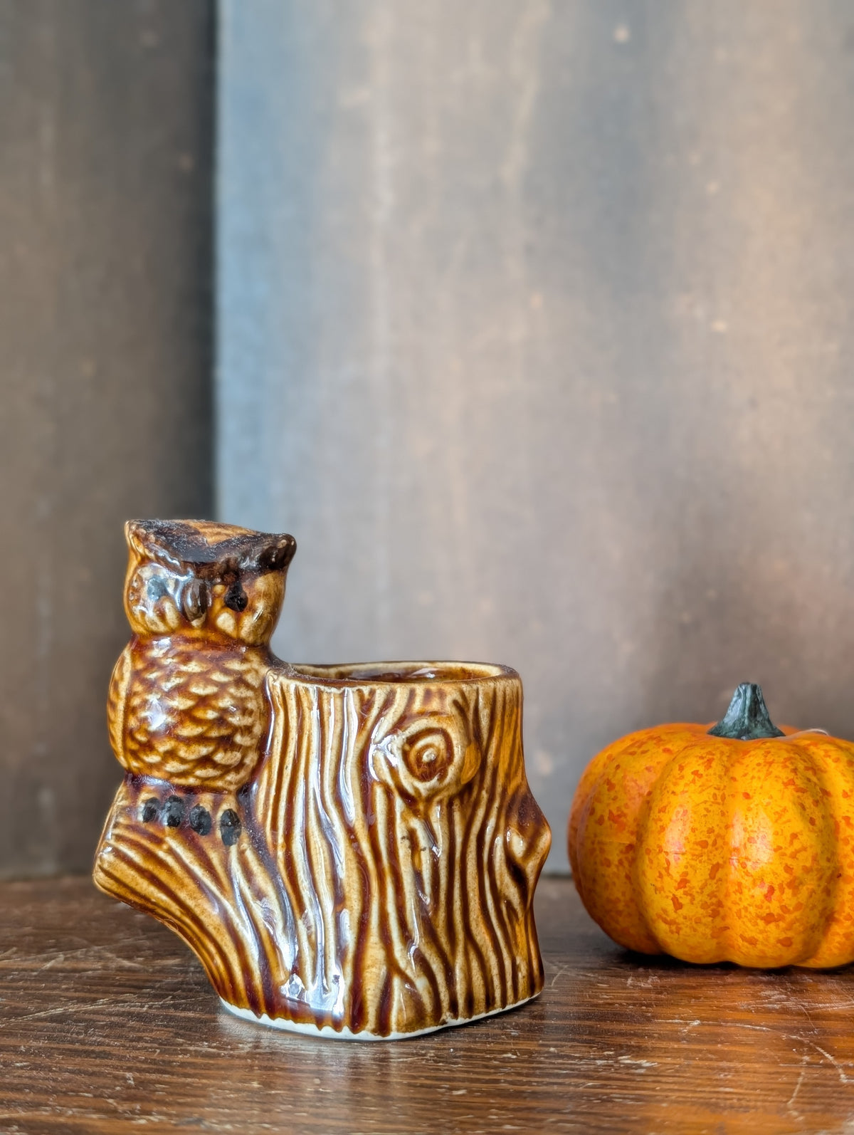 Owl toothpick holder