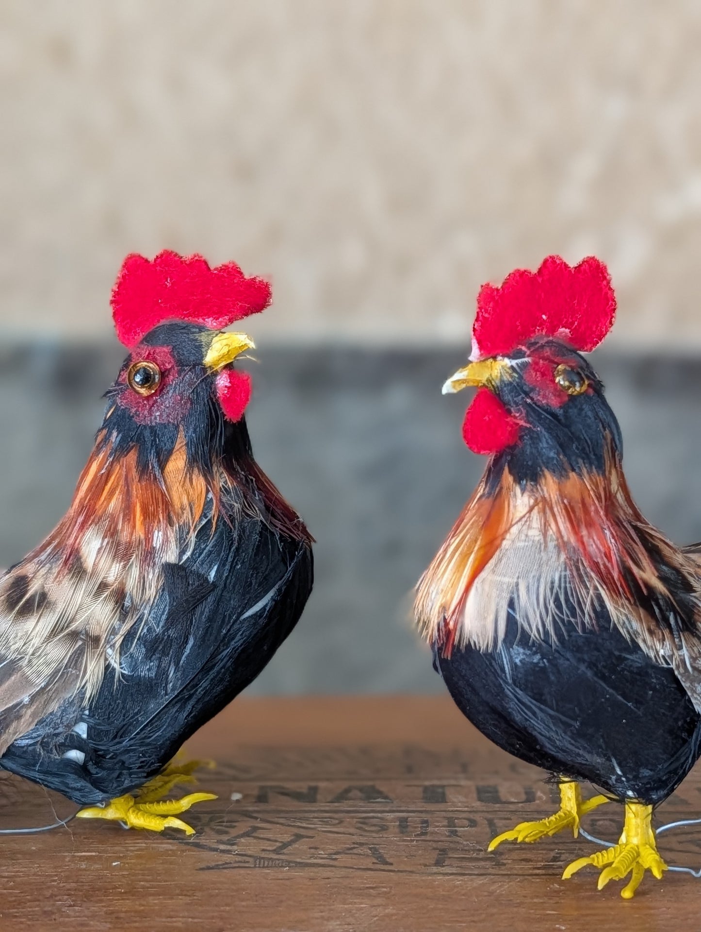Hen and rooster pair