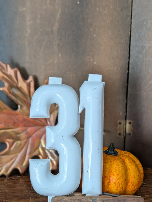 Plastic "31"