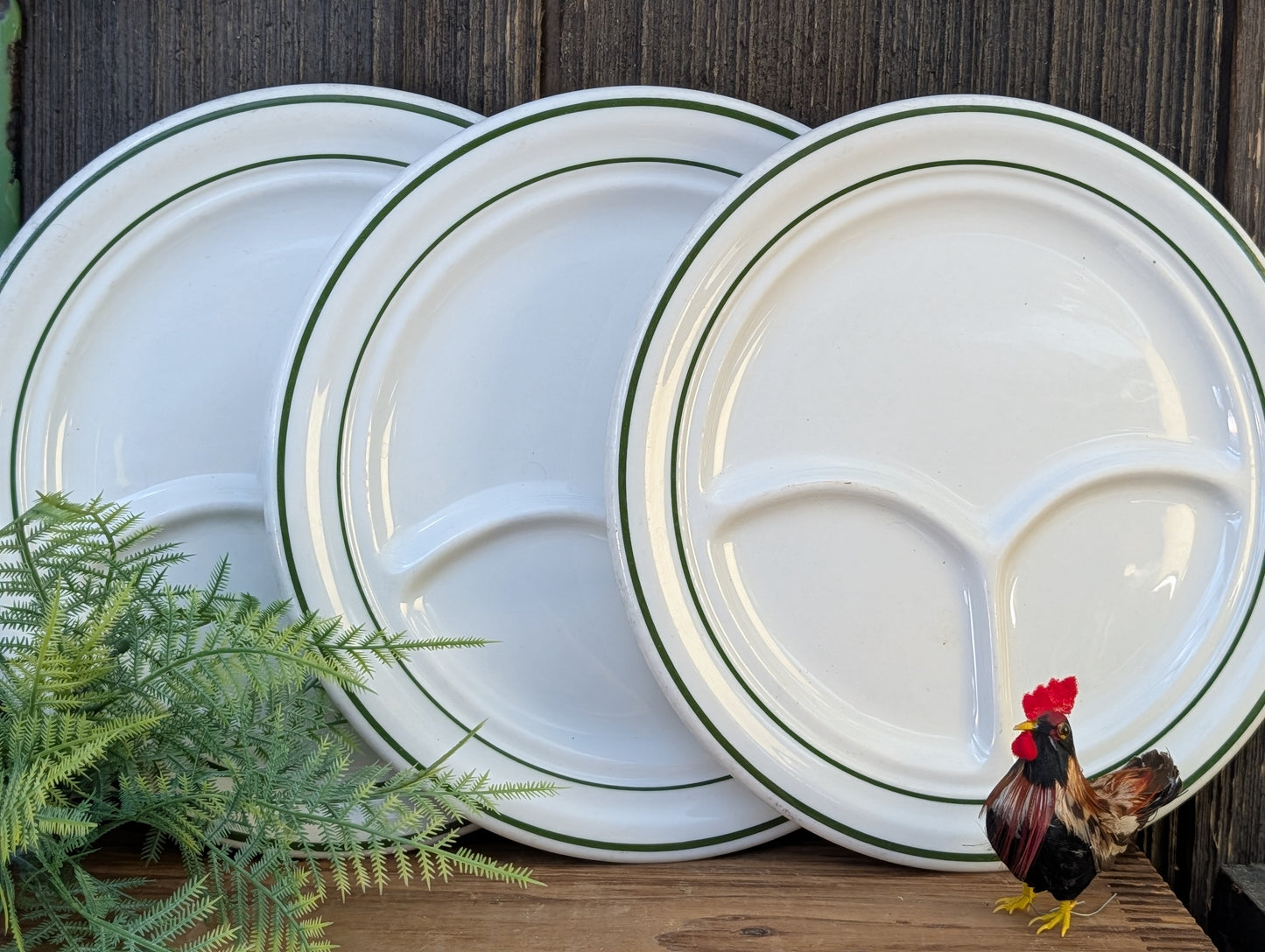 Divided restaurant ware plates