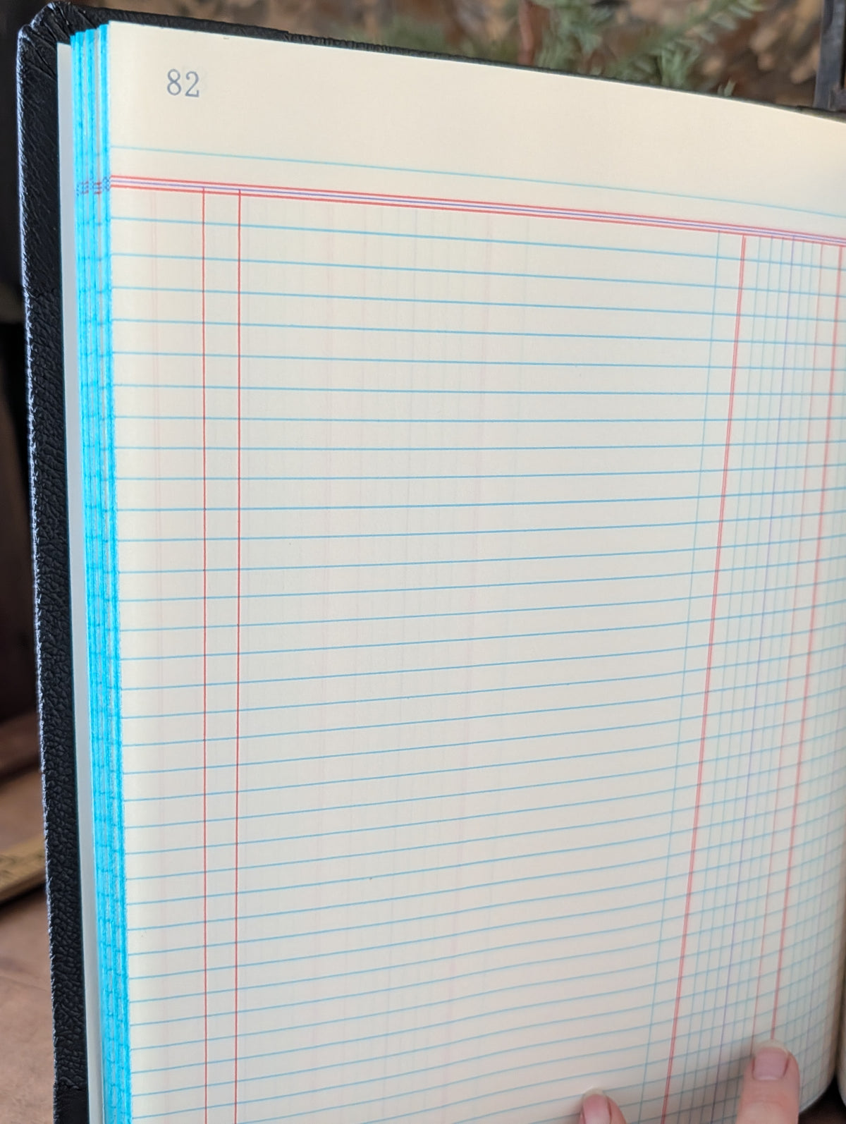 Account Ledger Book