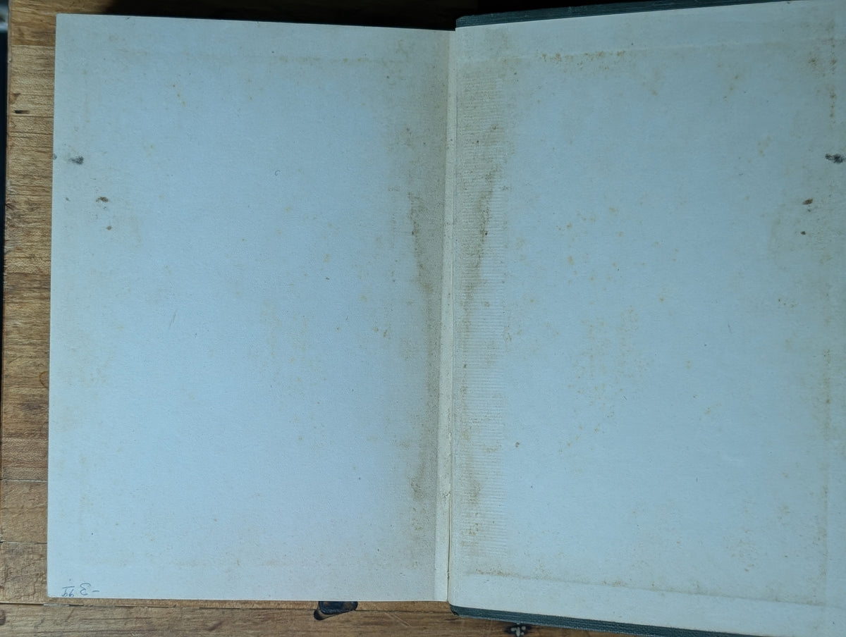 The Mysterious Stranger book
