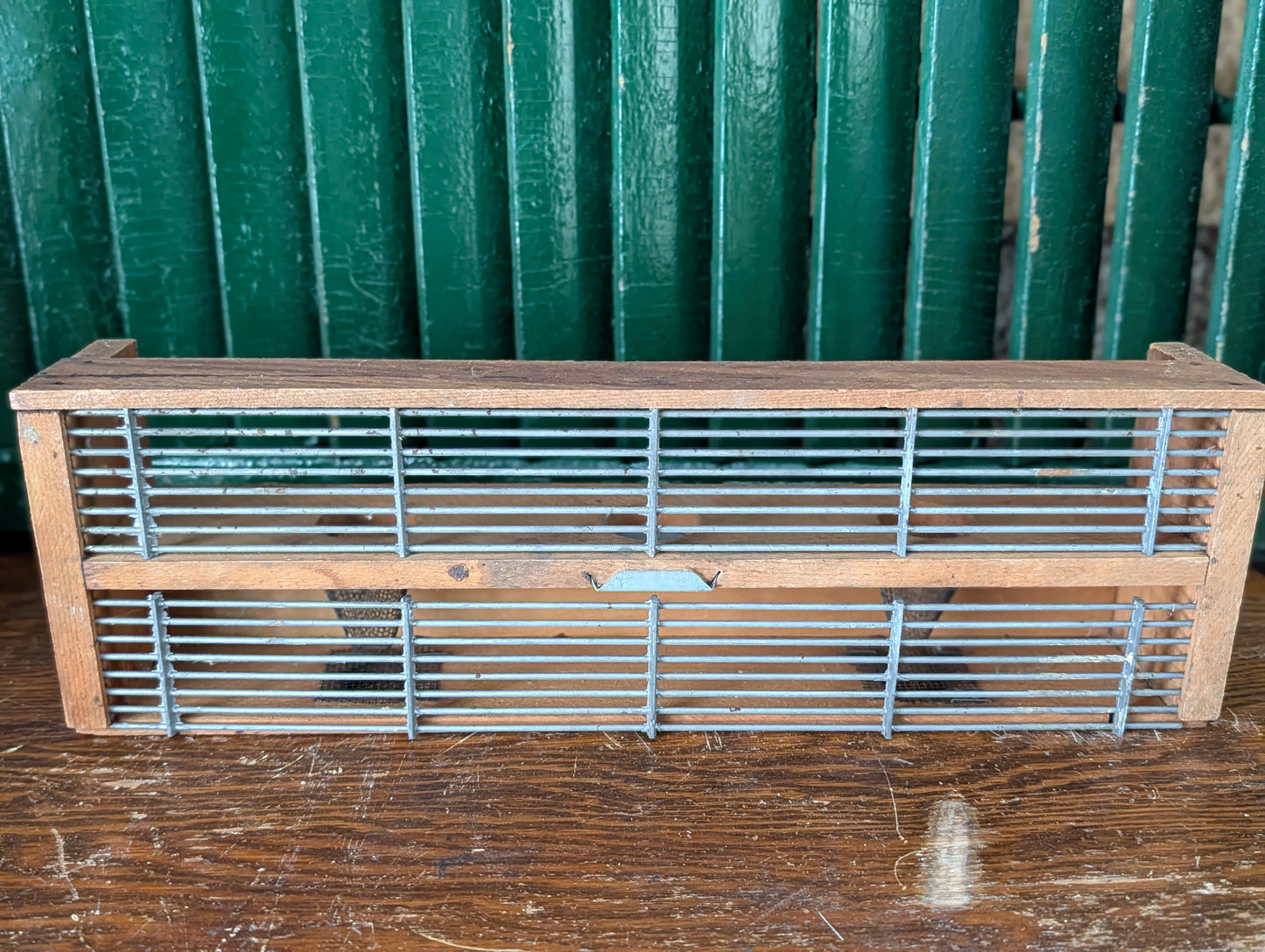 Flying insect/bee trap/cage