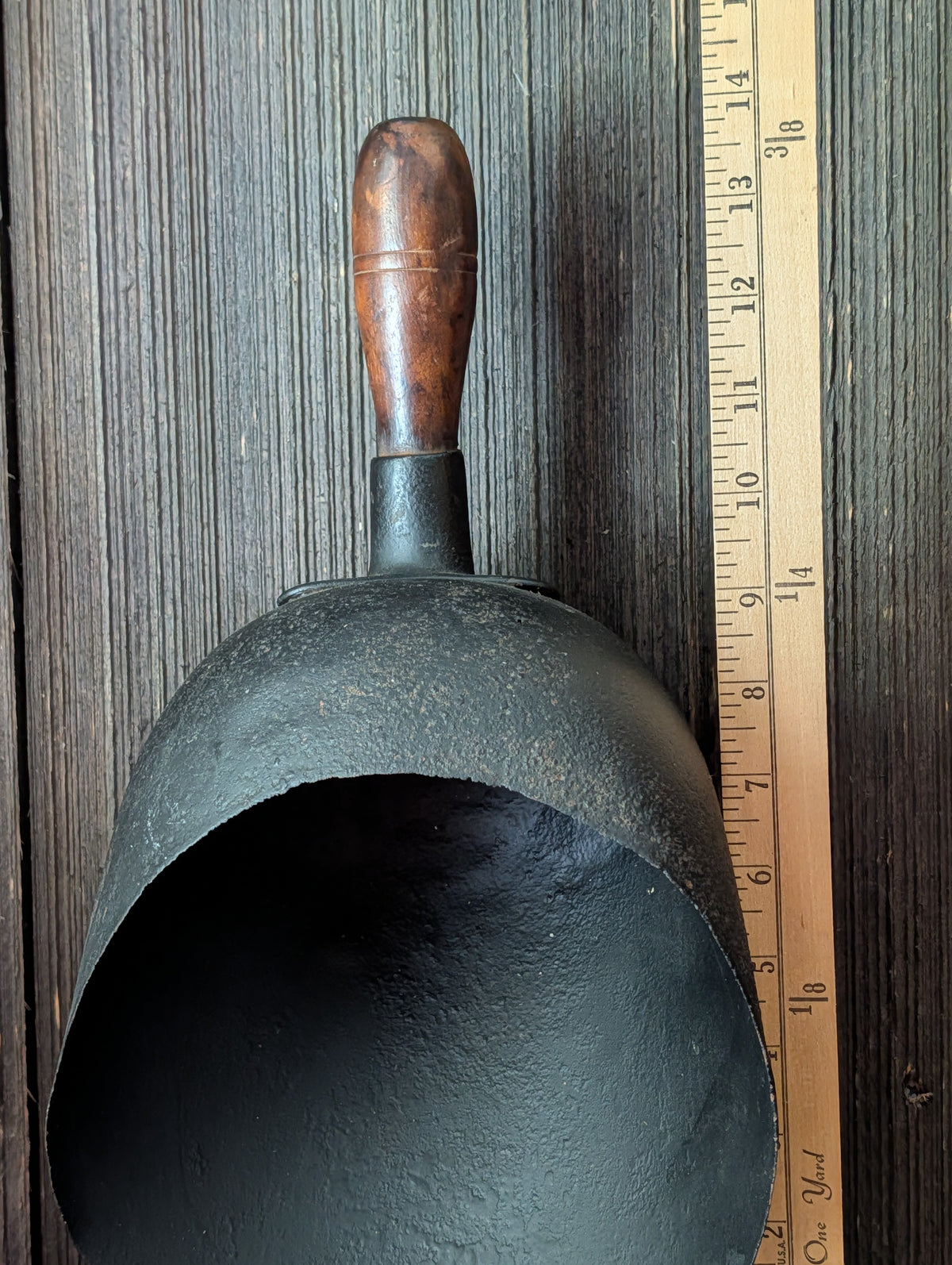 Grain scoop