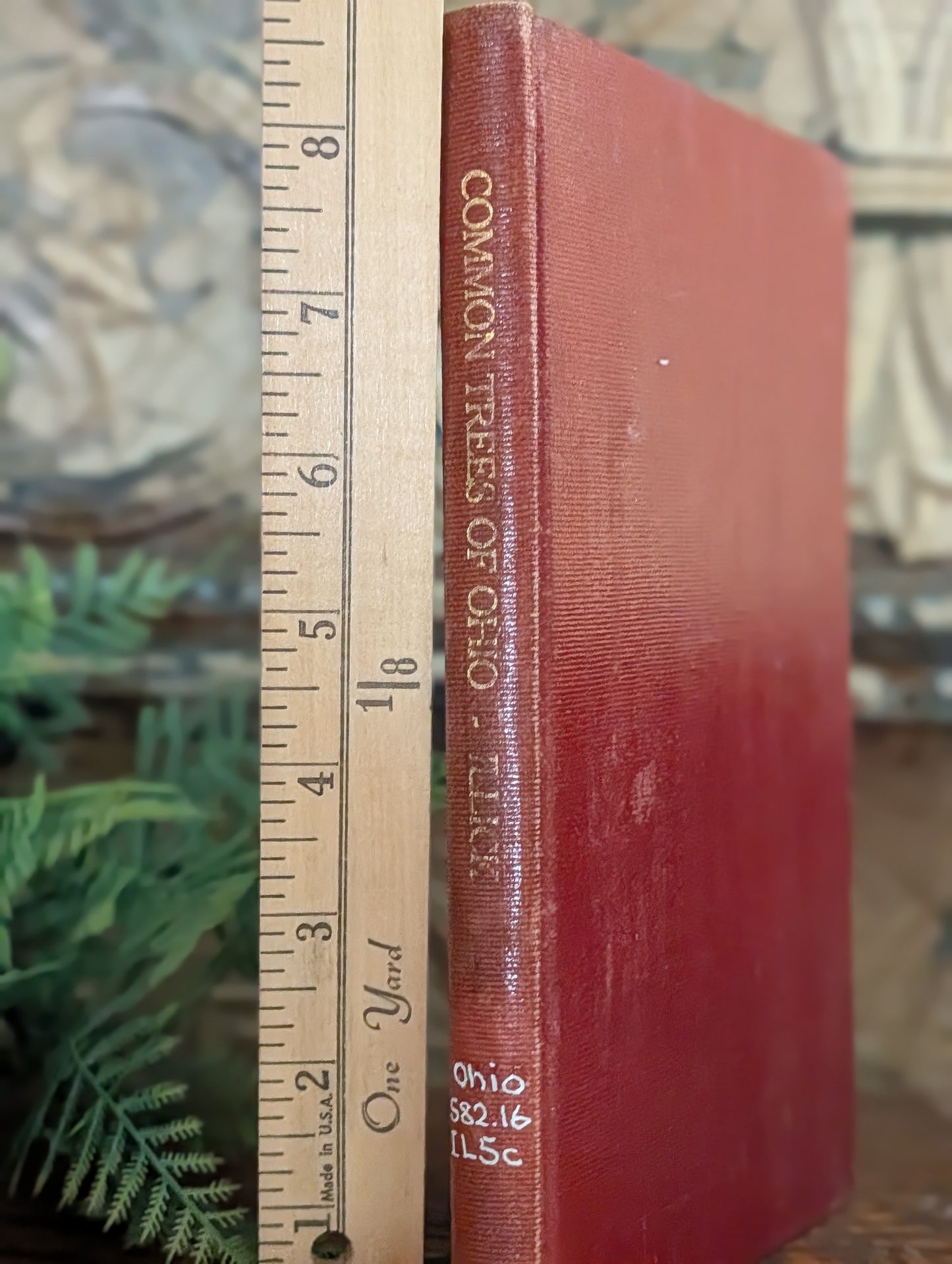 Ohio tree book