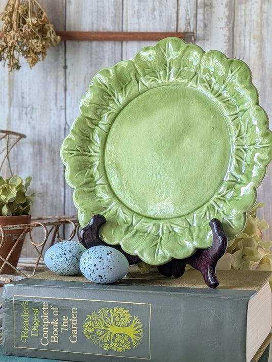 Cabbage/lettuce plate