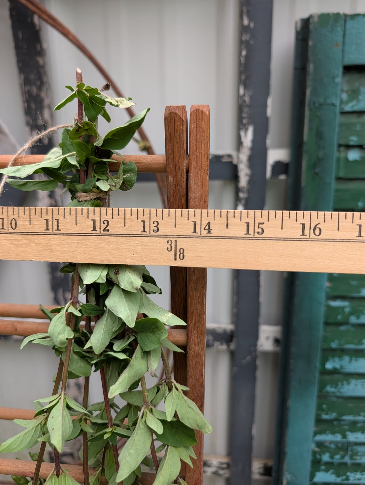 Wood drying rack