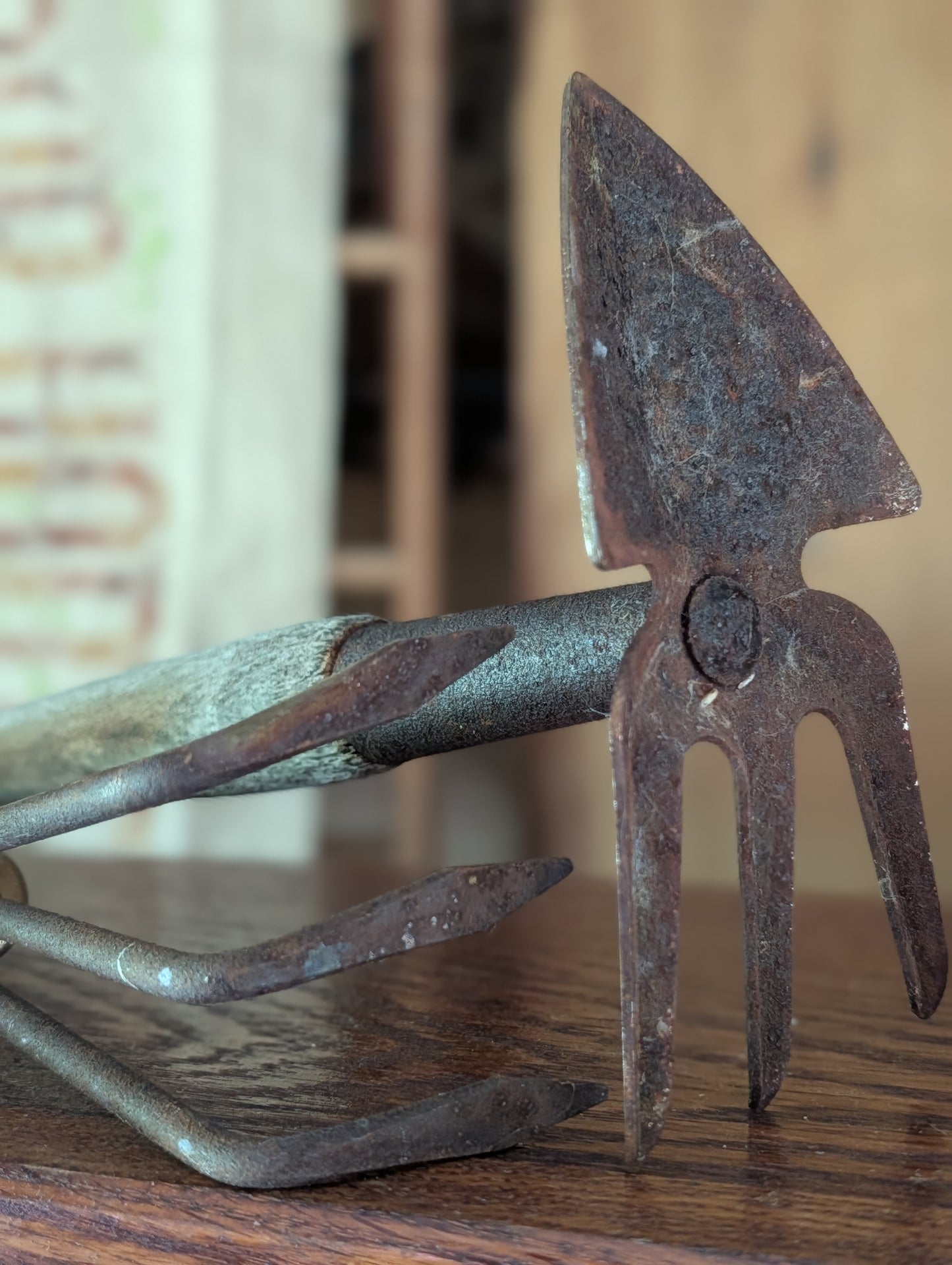 Pair of garden tools