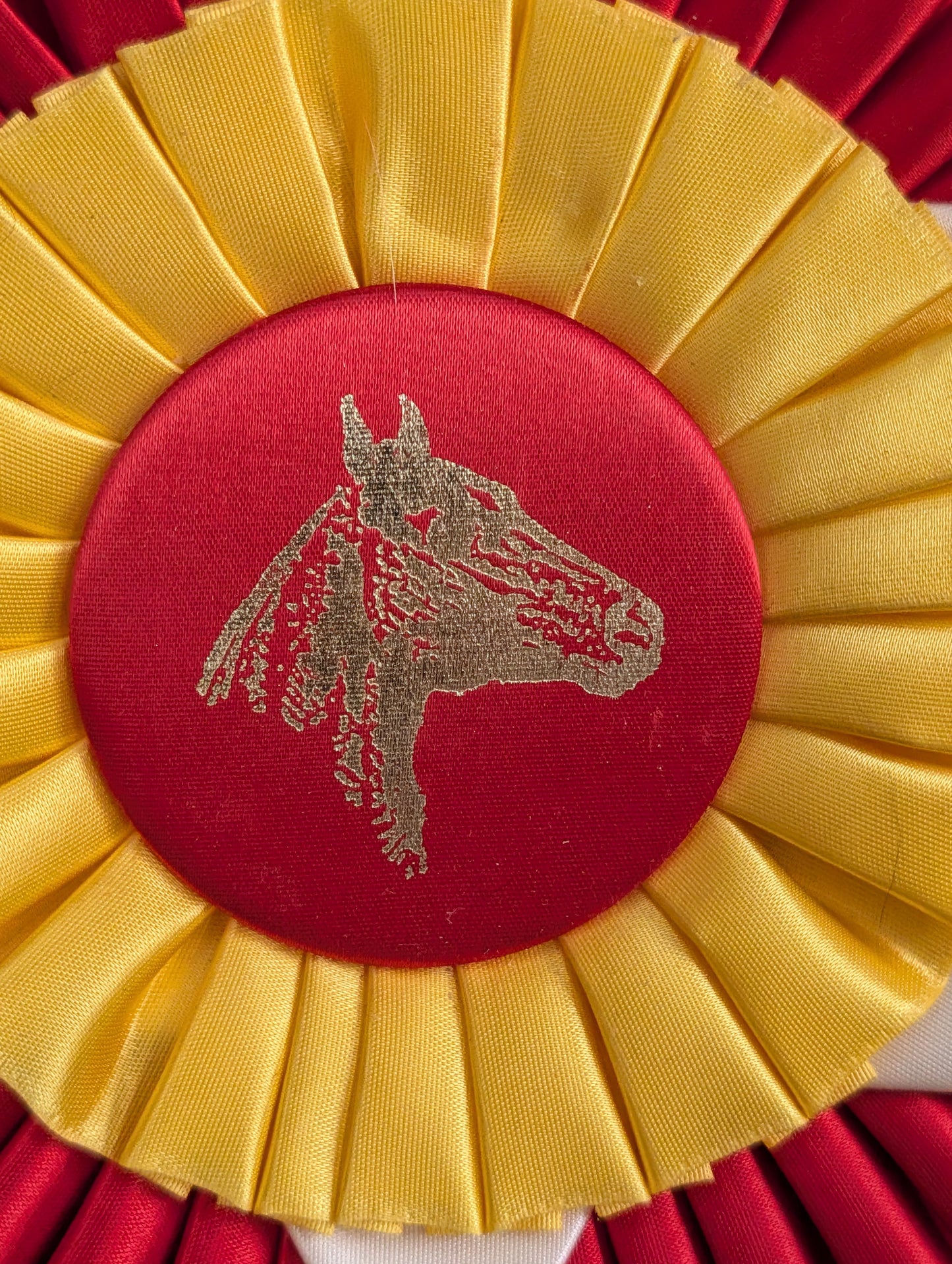 Horse show ribbons
