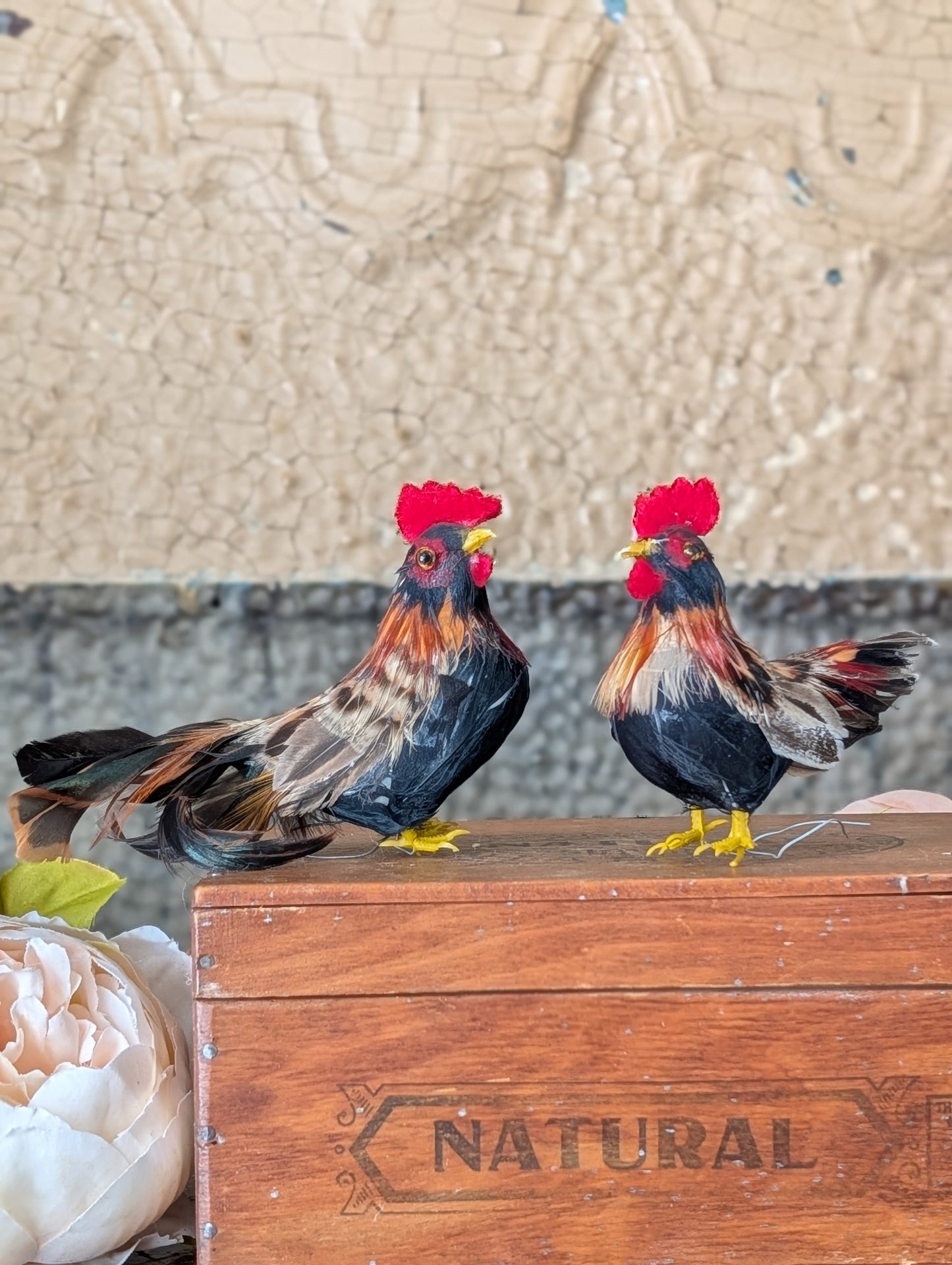 Hen and rooster pair