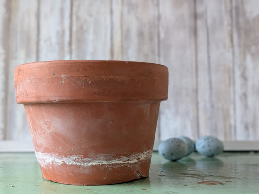 Heavy terra cotta pot