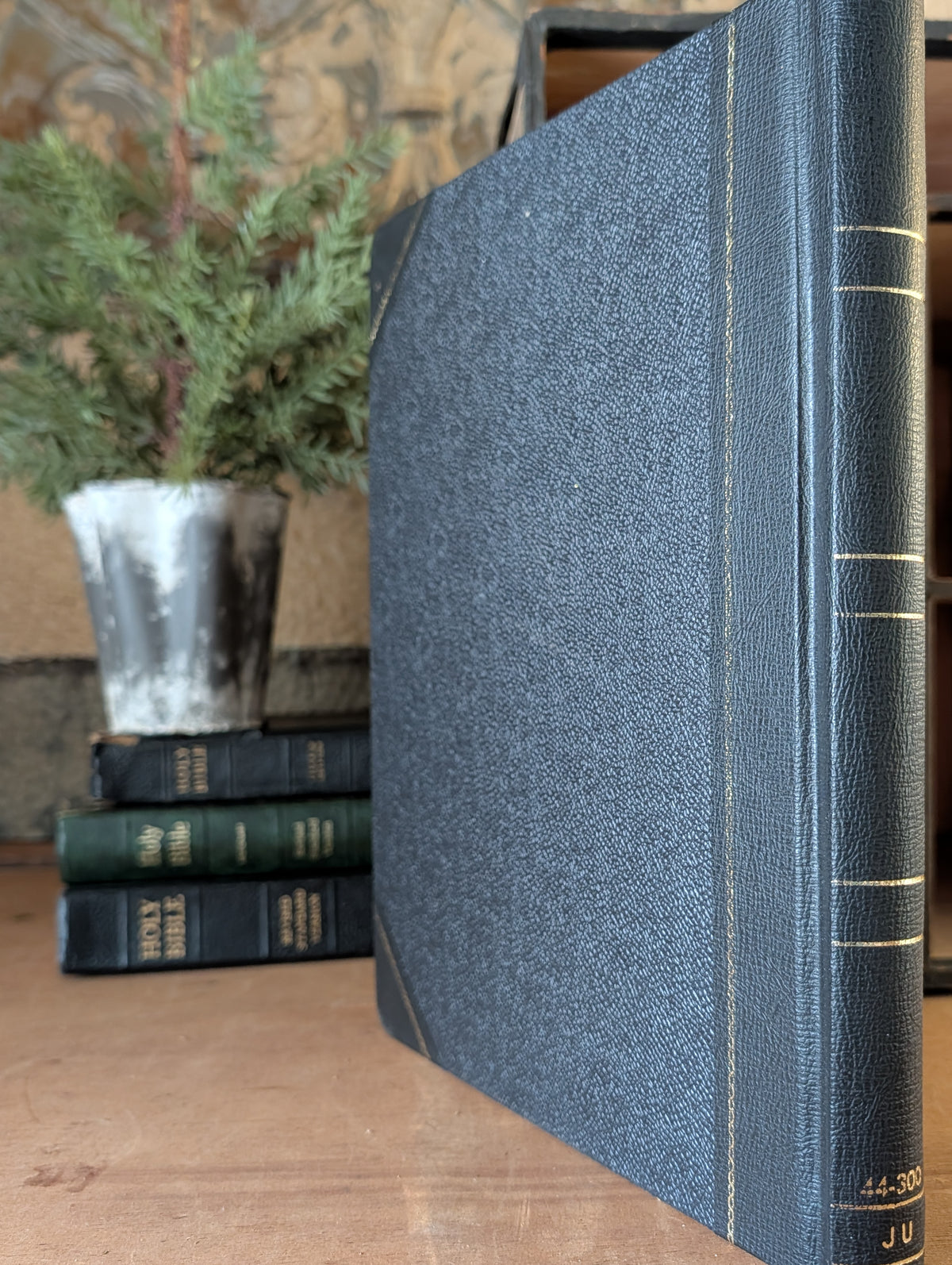 Account Ledger Book