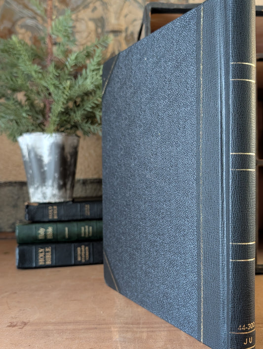 Account Ledger Book