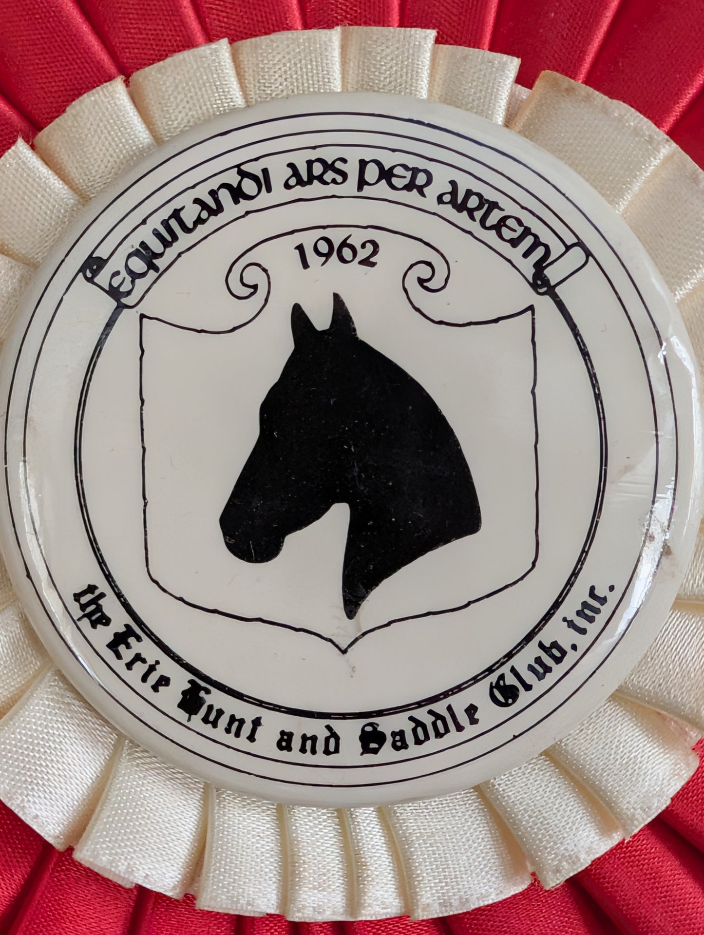 Horse show ribbons