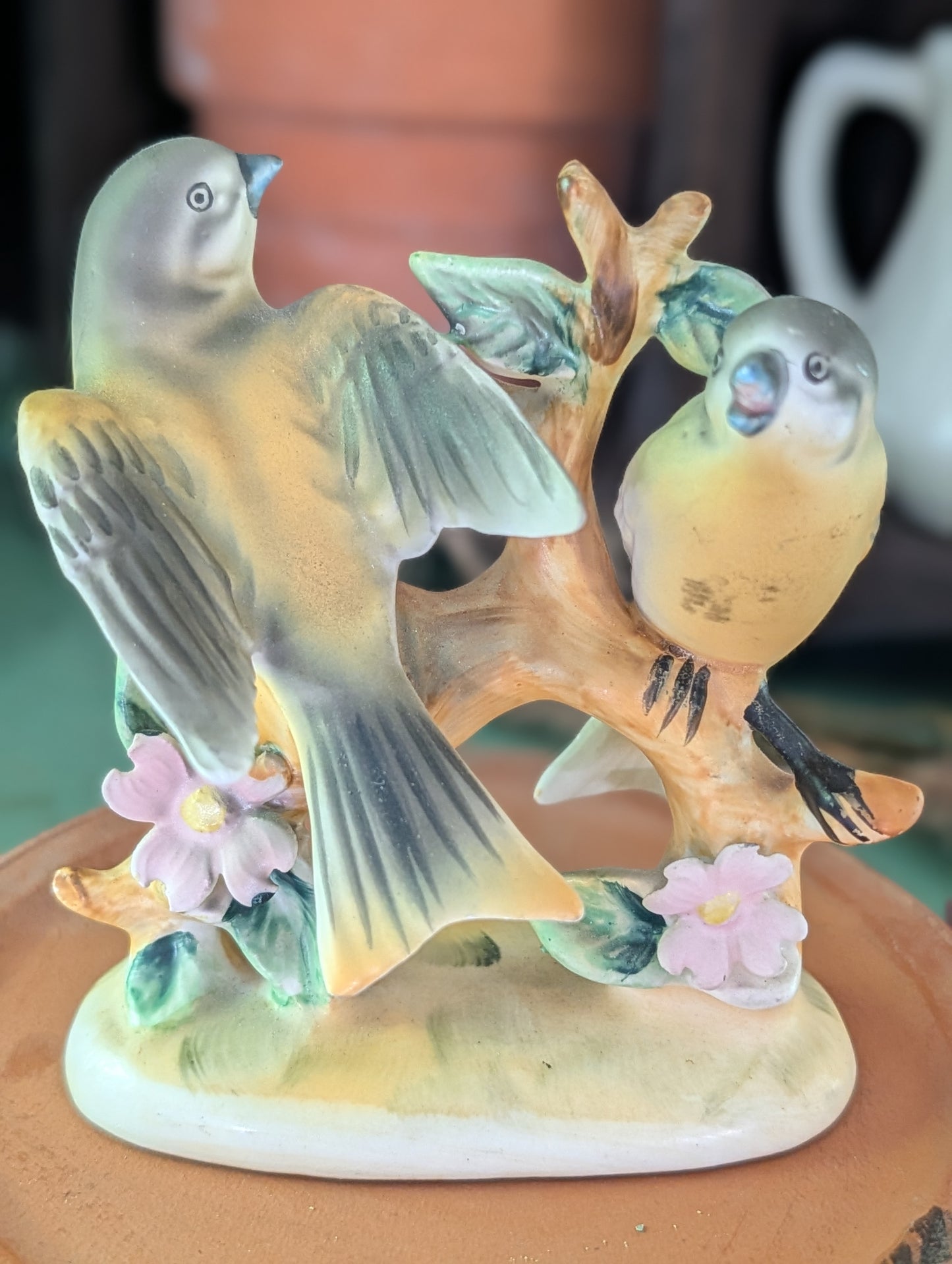 Cloche/bird collection