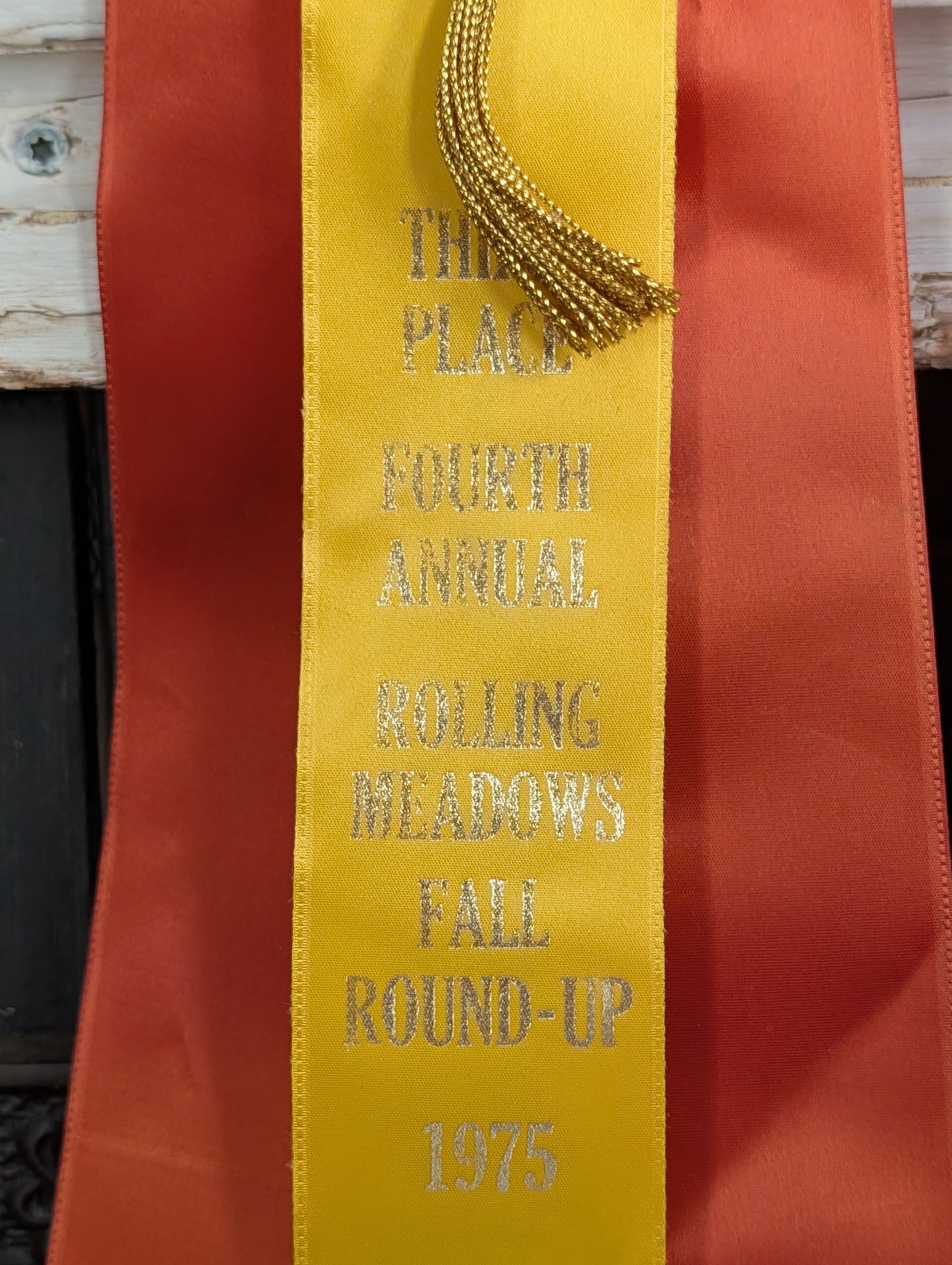 Horse show ribbons