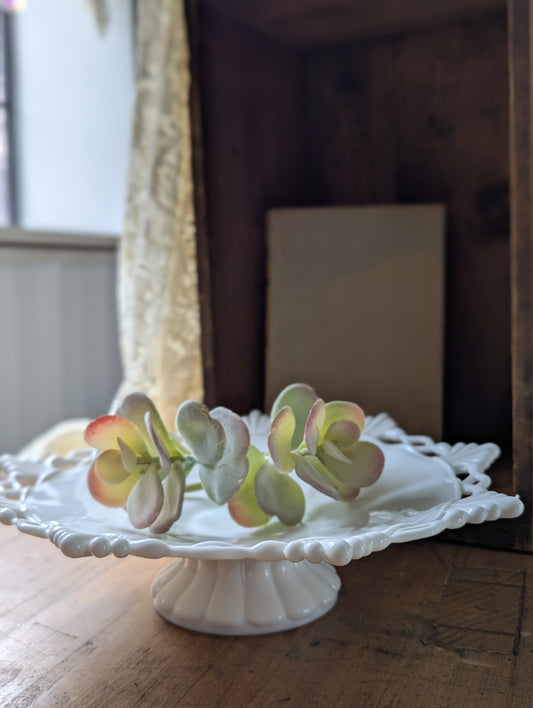 Milk glass pedestal dish