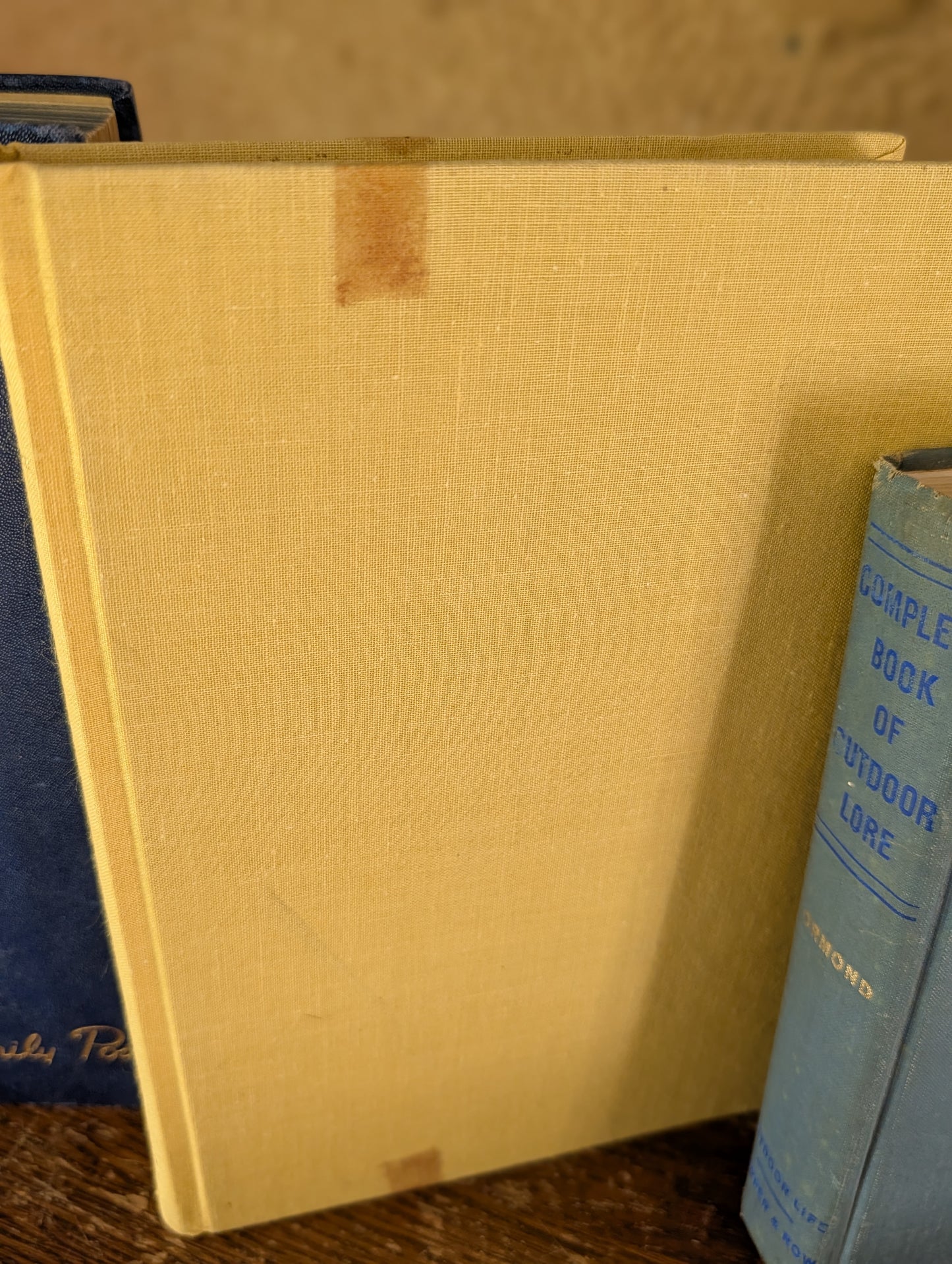 Bookstack blue and yellow