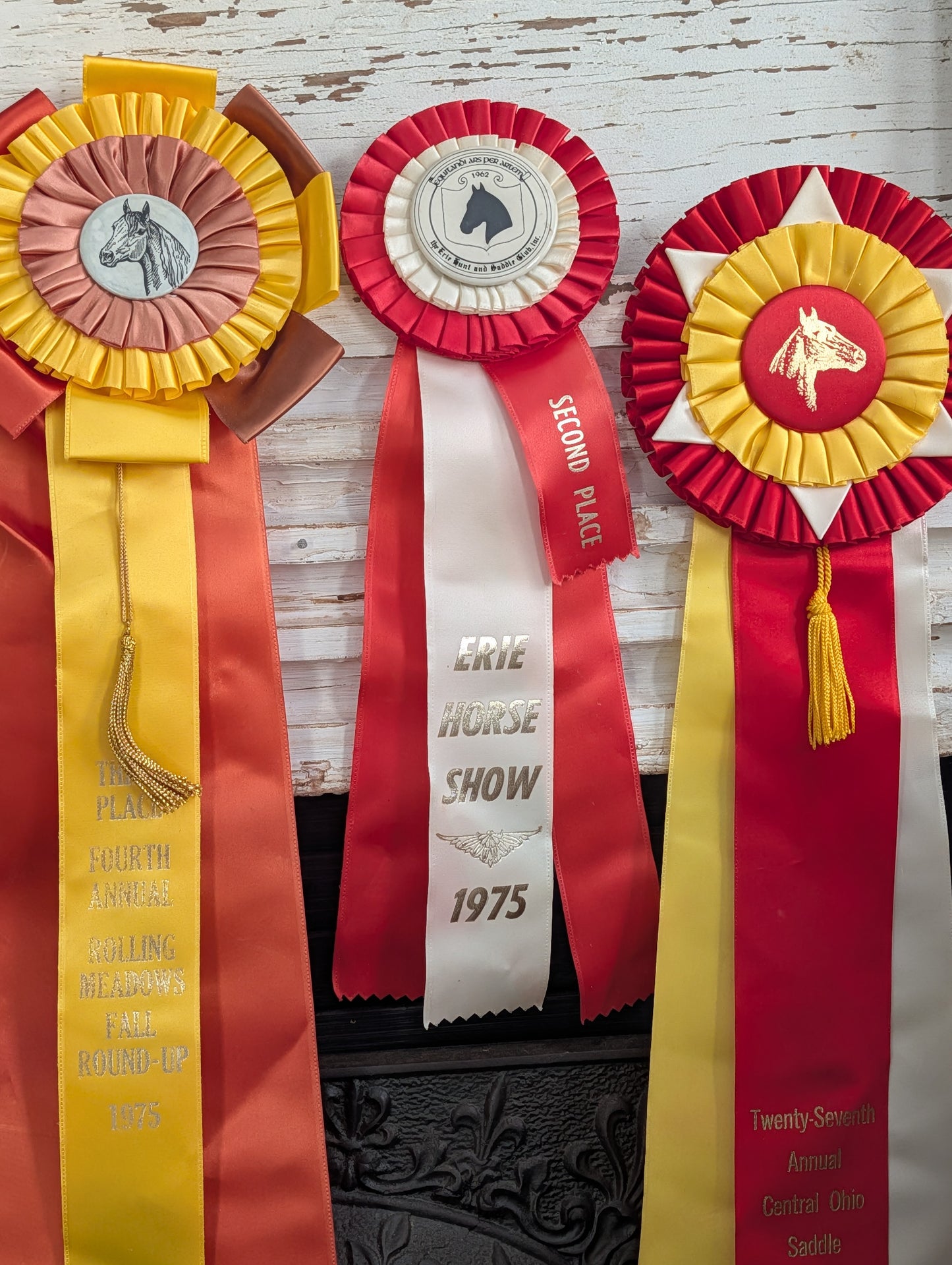 Horse show ribbons