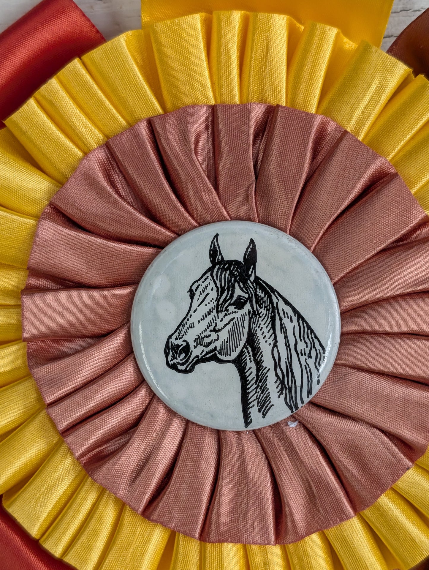 Horse show ribbons